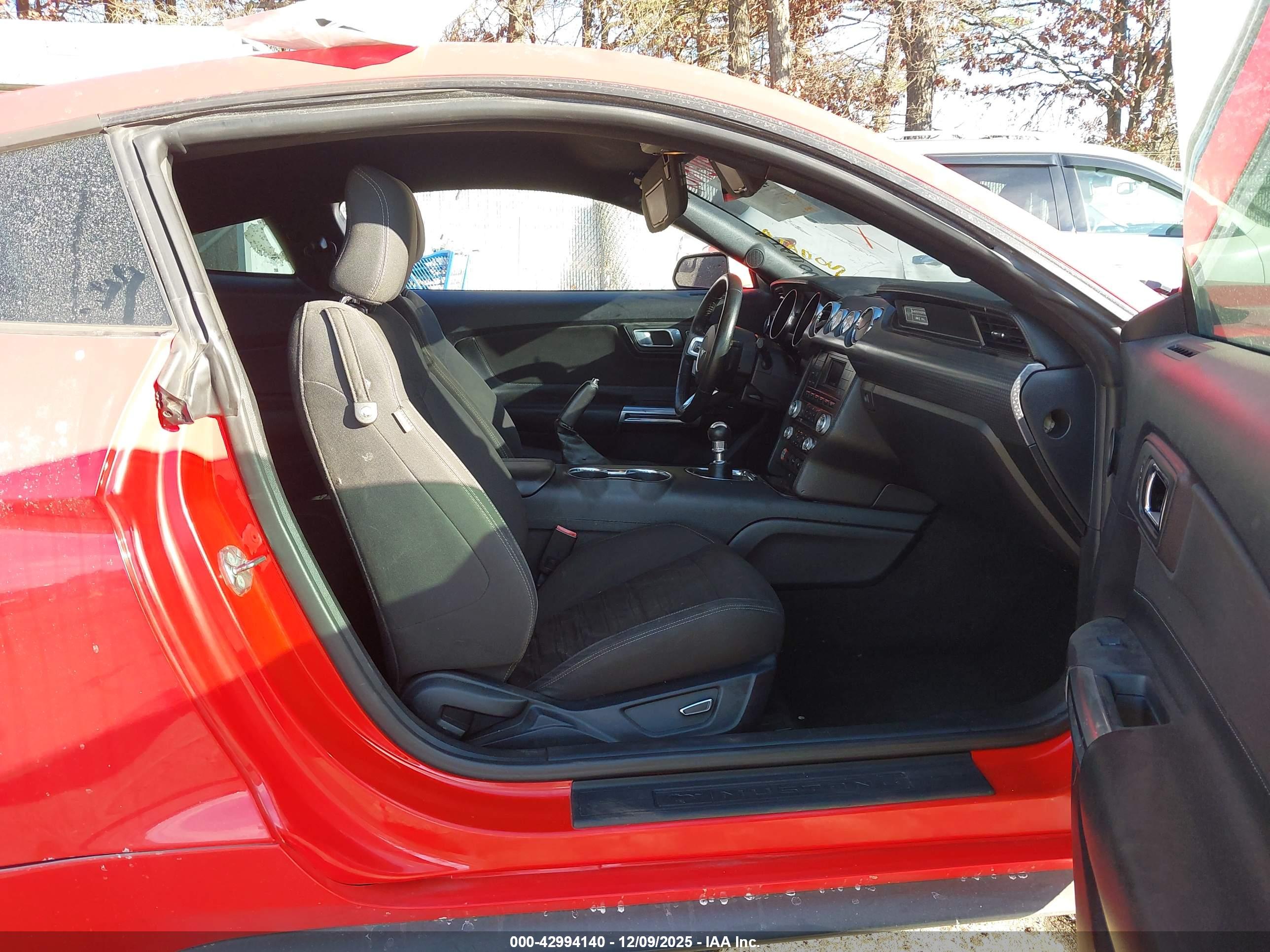 FORD MUSTANG image 5