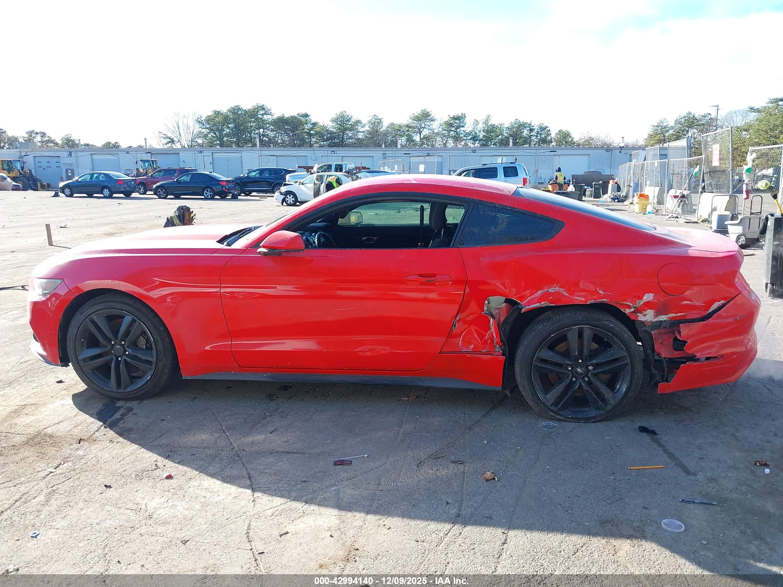 FORD MUSTANG image 6