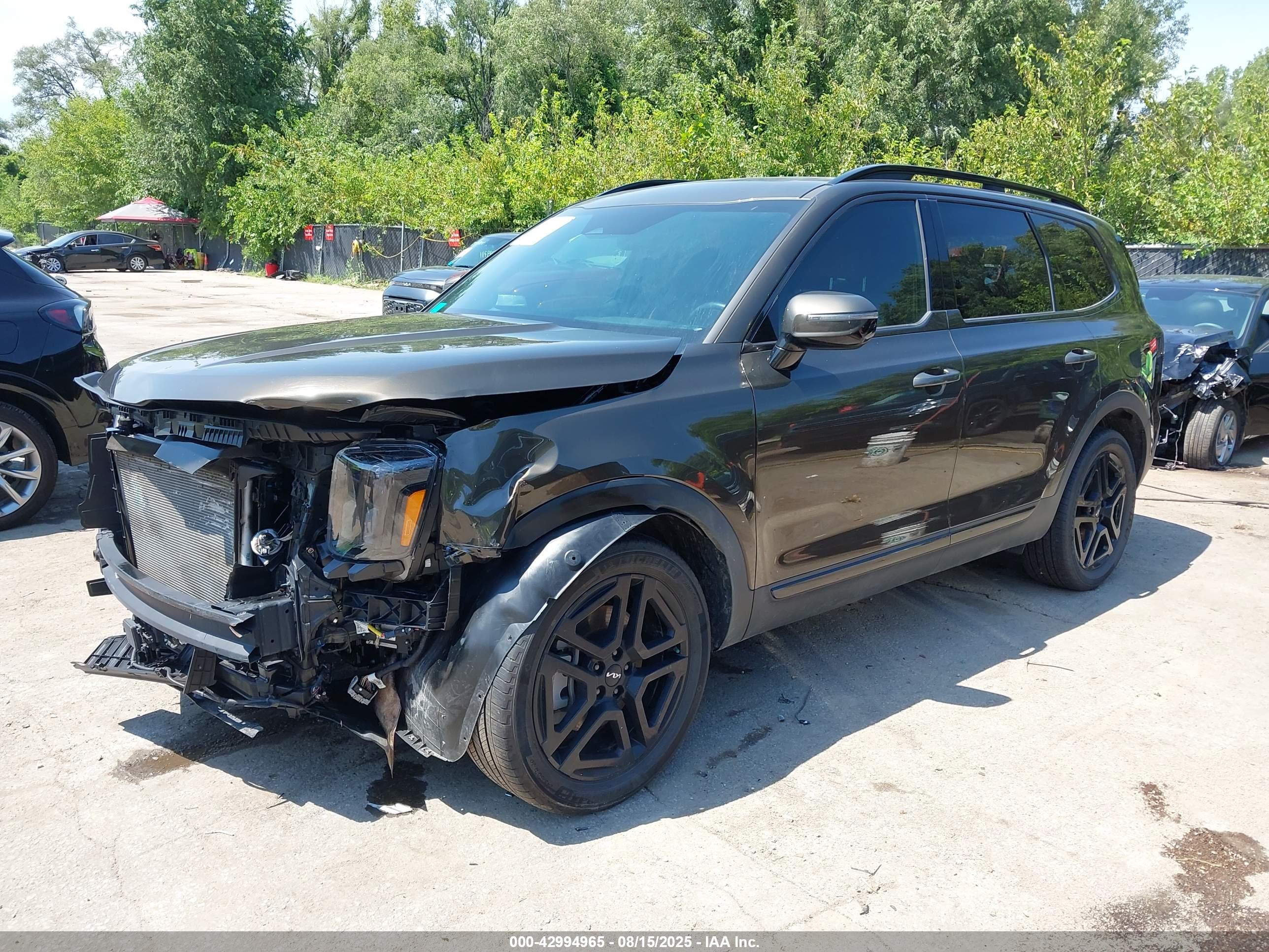 KIA TELLURIDE image 2