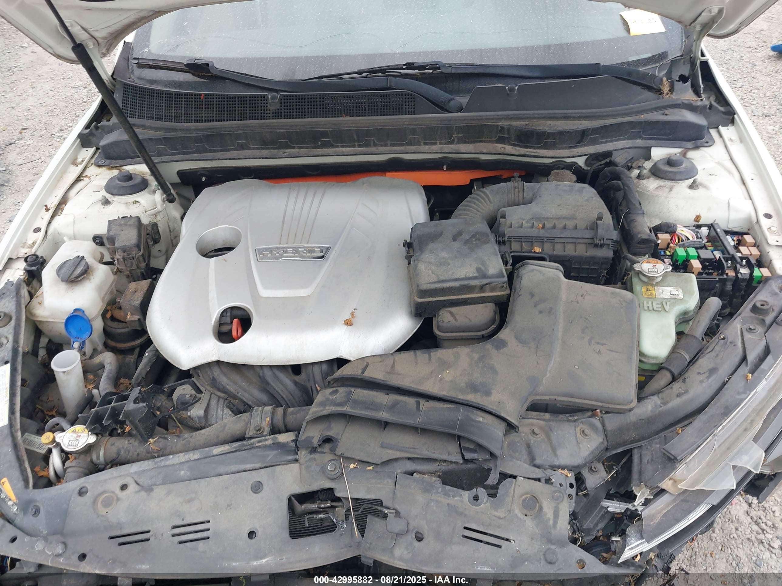 KIA OPTIMA image 10