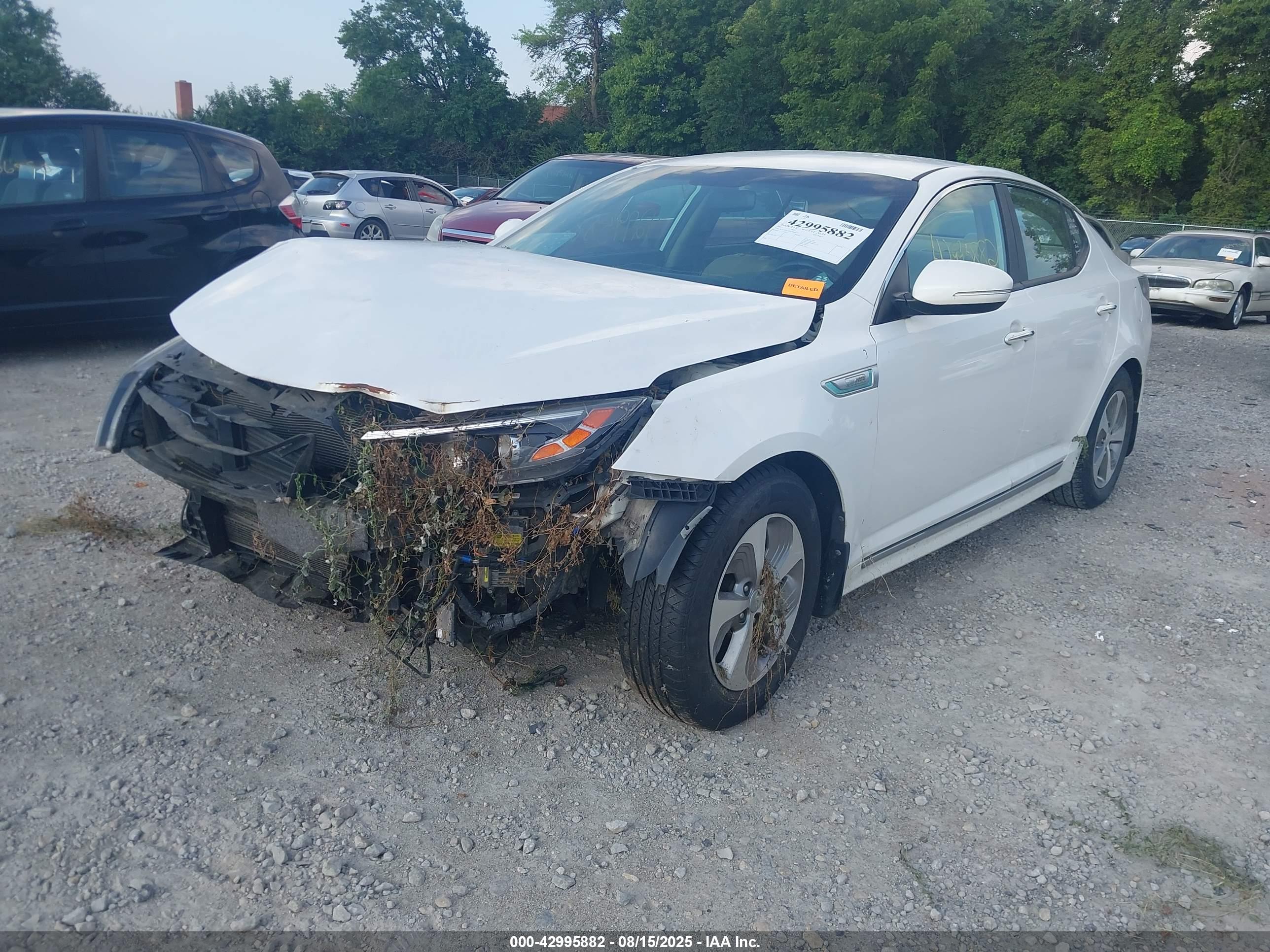 KIA OPTIMA image 2