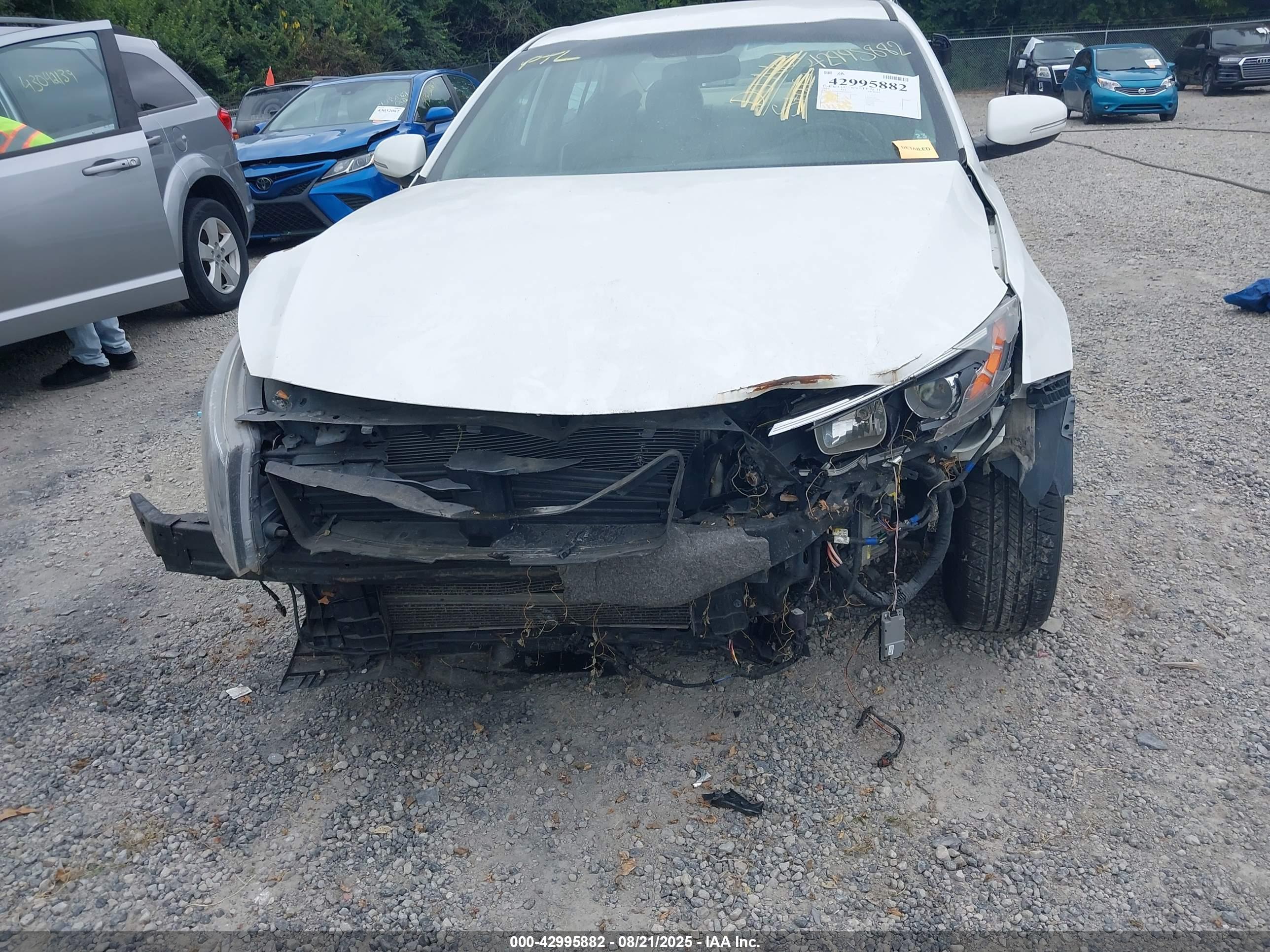 KIA OPTIMA image 6