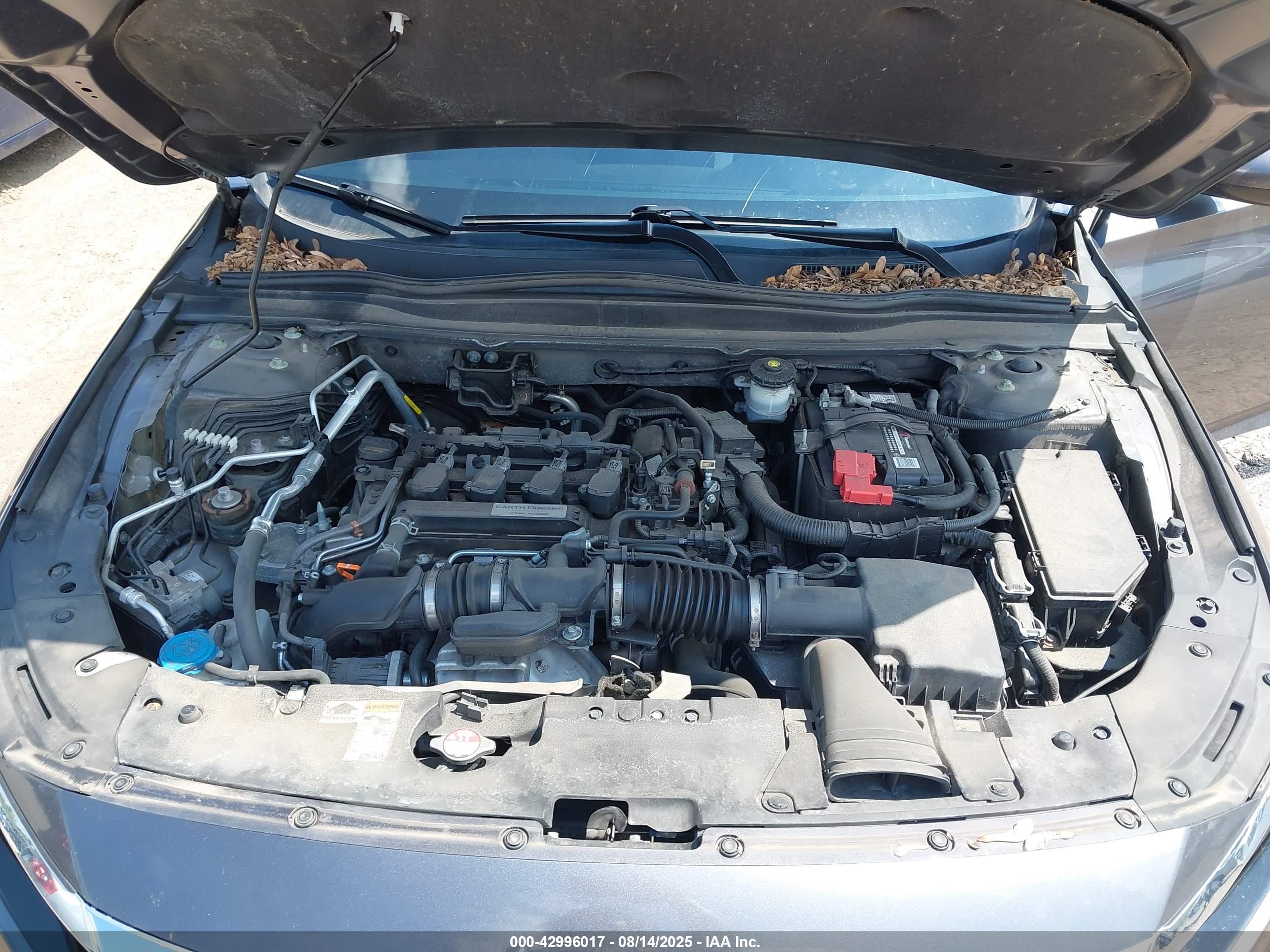 HONDA ACCORD image 10