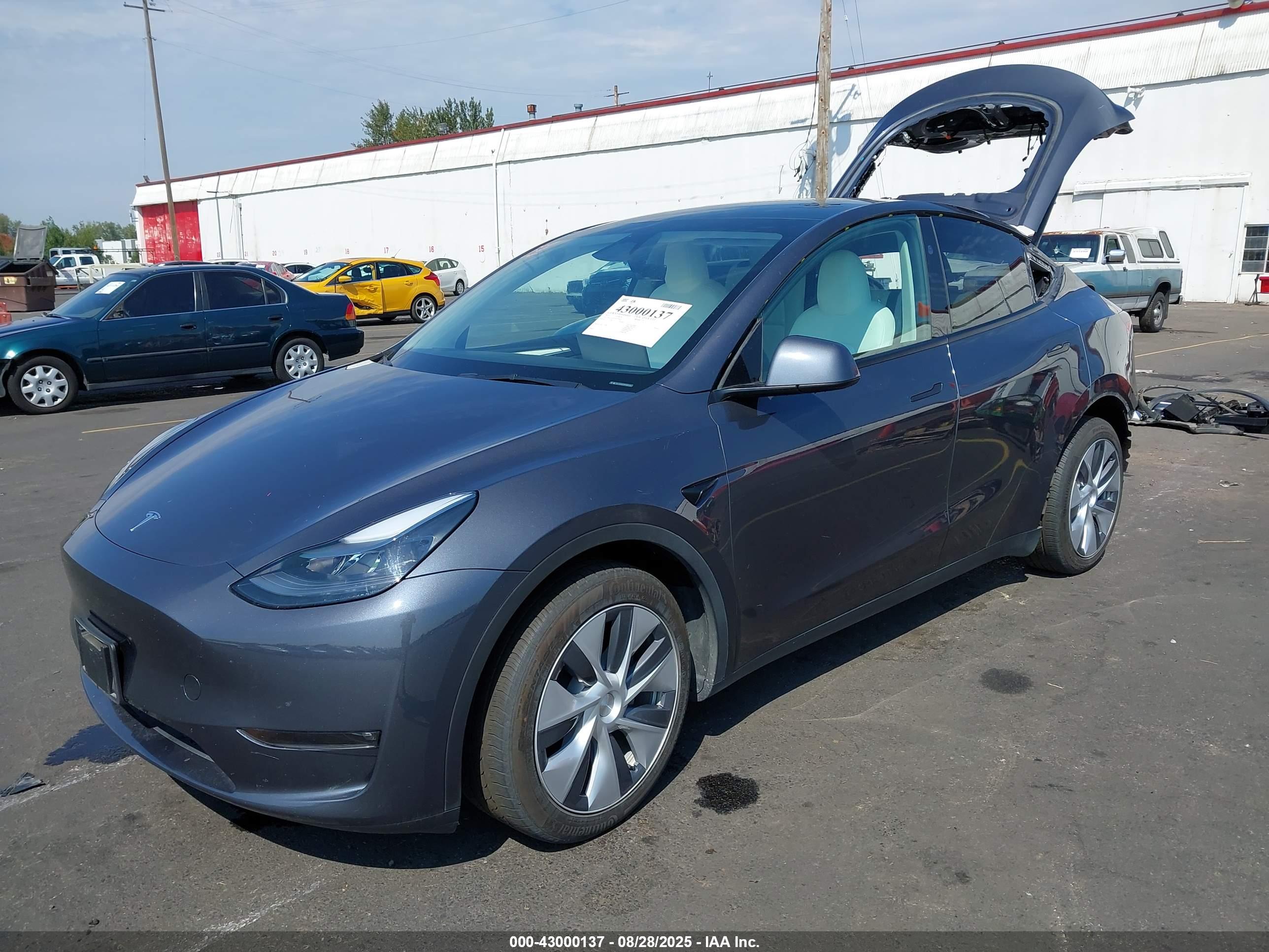 TESLA MODEL image 2
