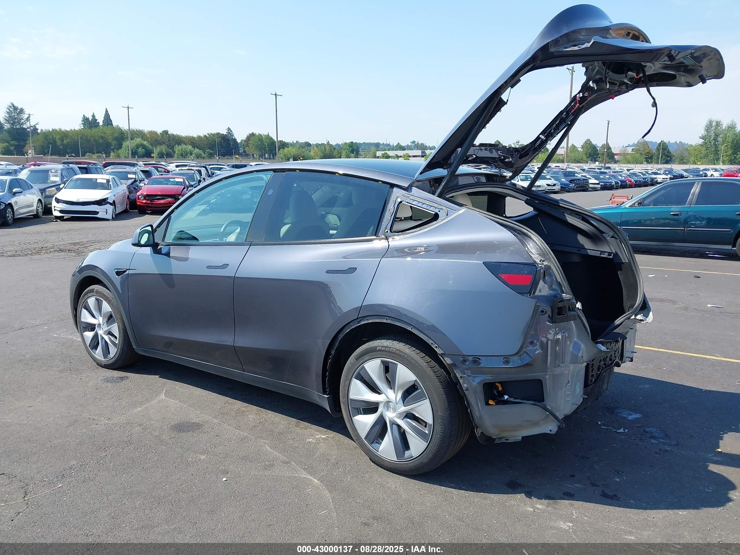 TESLA MODEL image 3