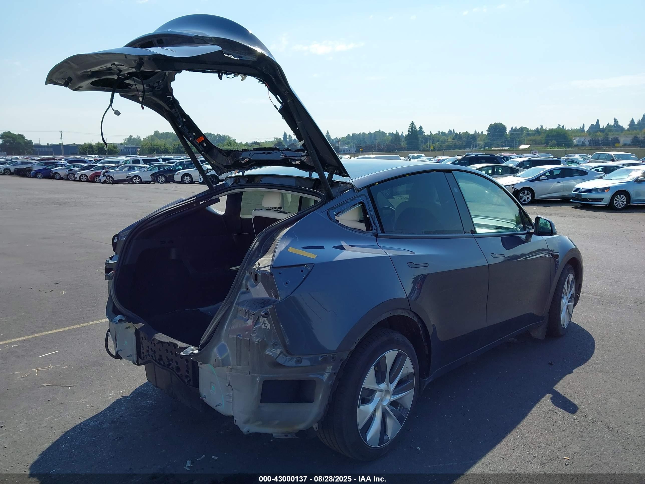 TESLA MODEL image 4