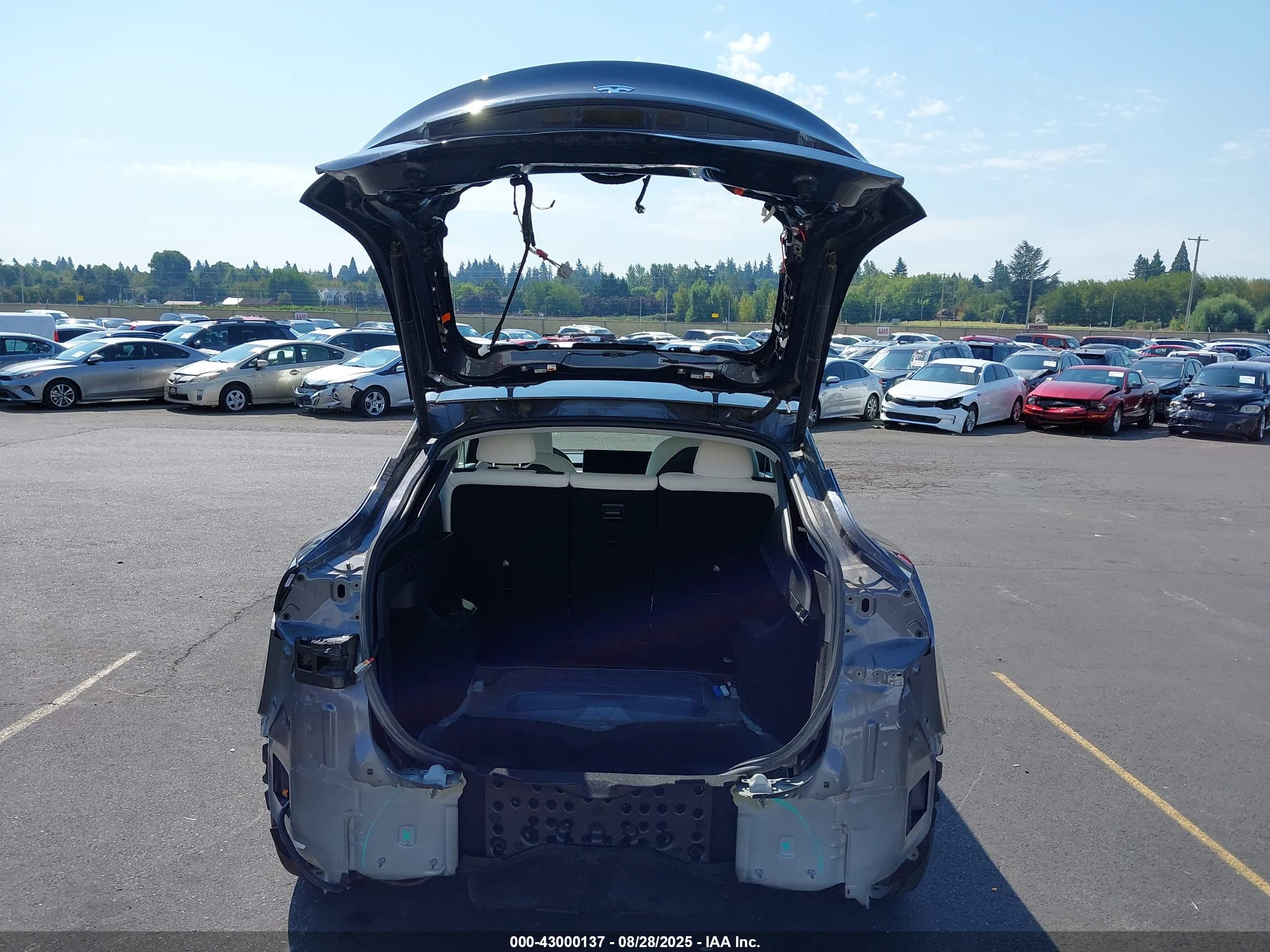 TESLA MODEL image 6