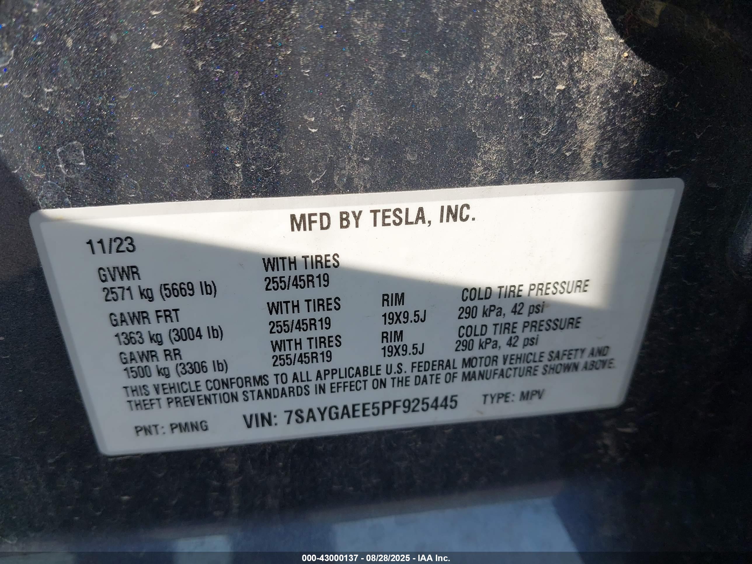TESLA MODEL image 9
