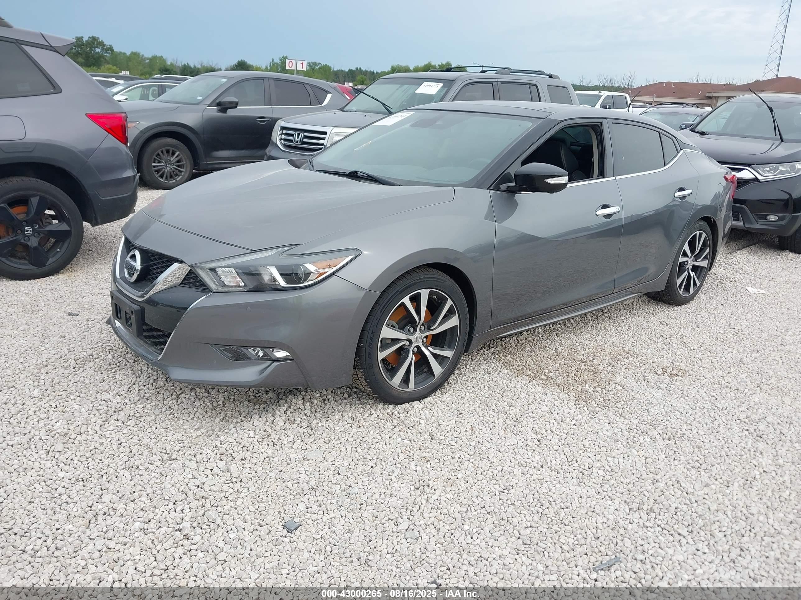 NISSAN MAXIMA image 2