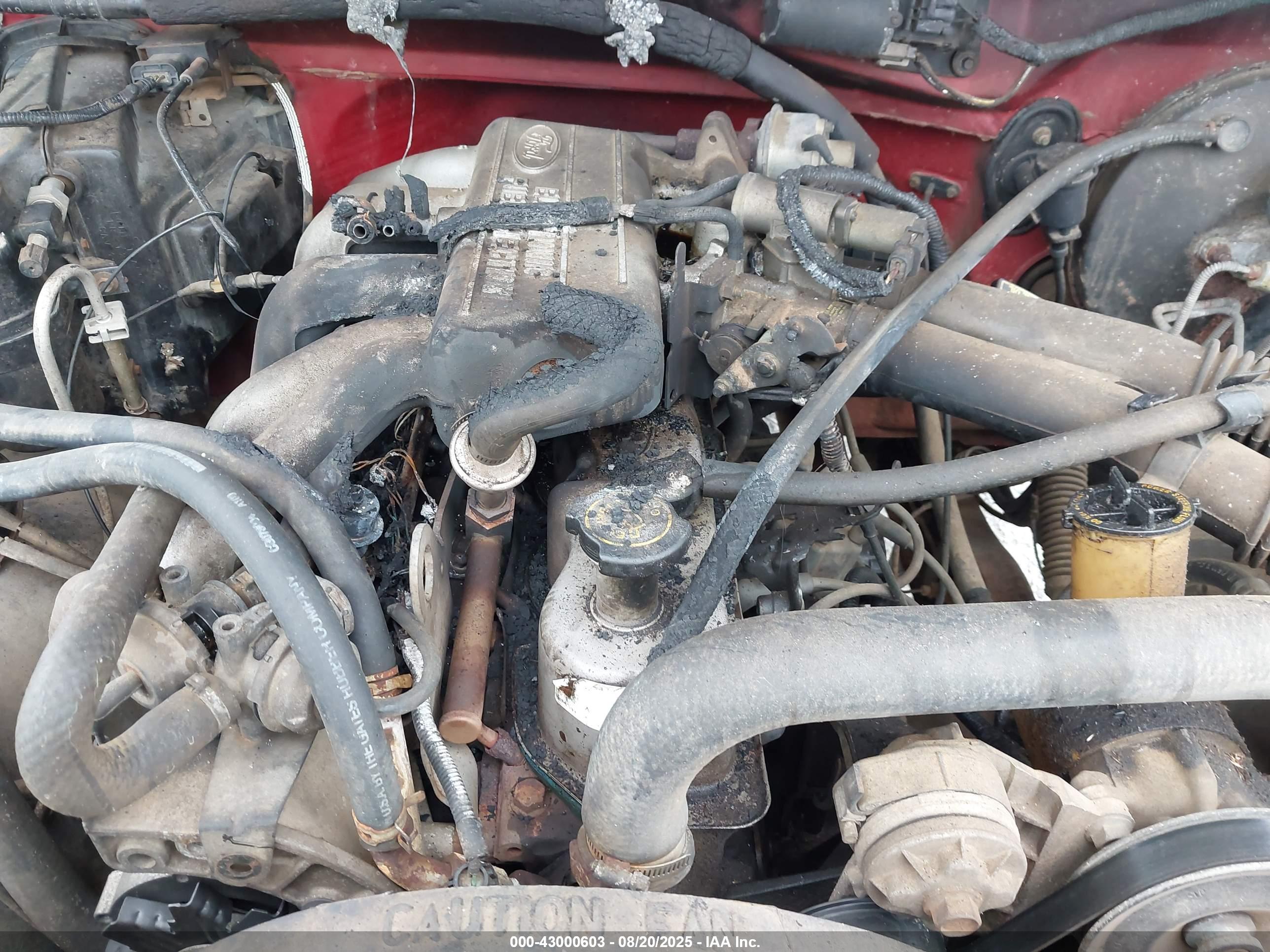 FORD F150 image 6
