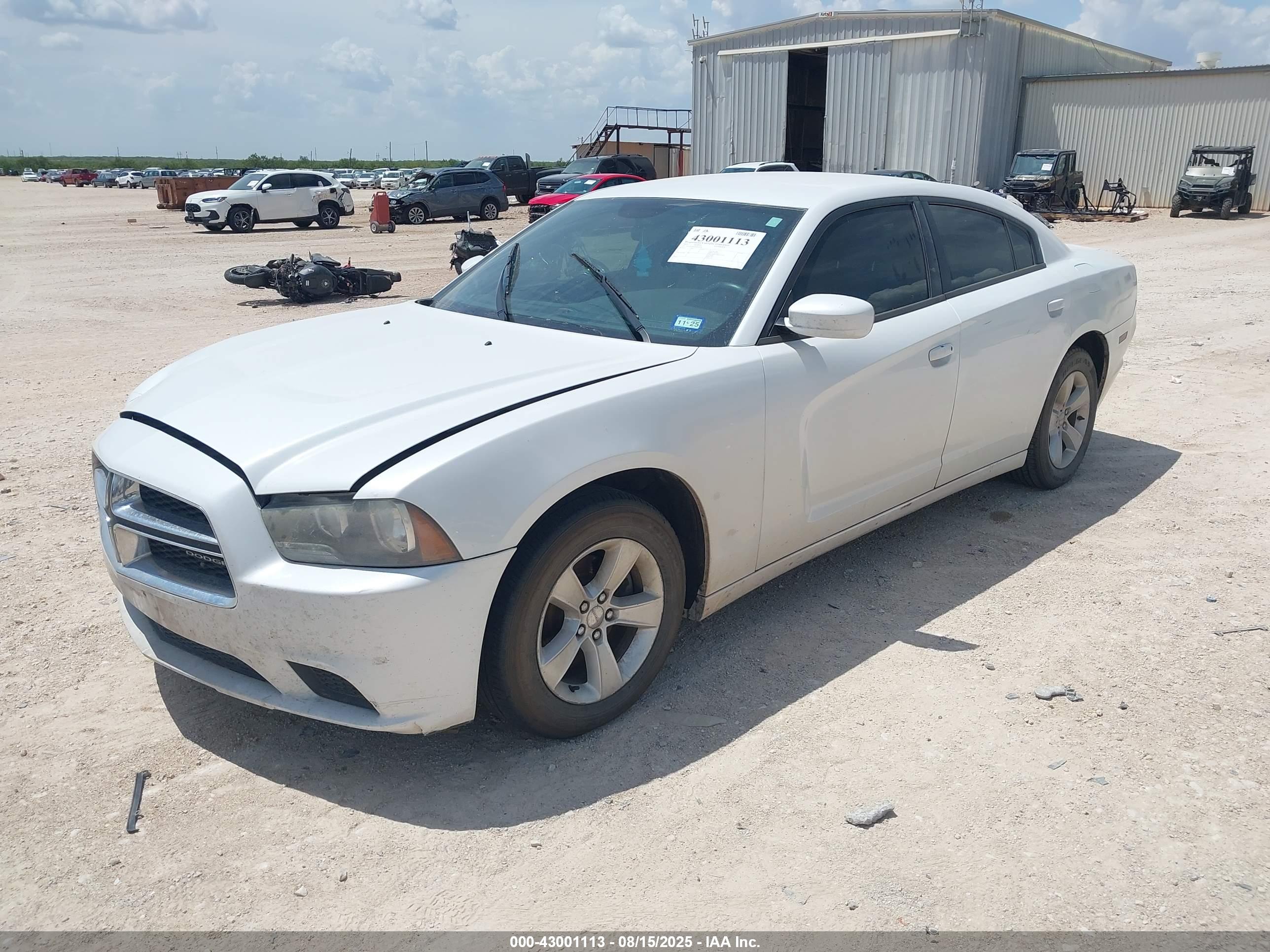 DODGE CHARGER image 2