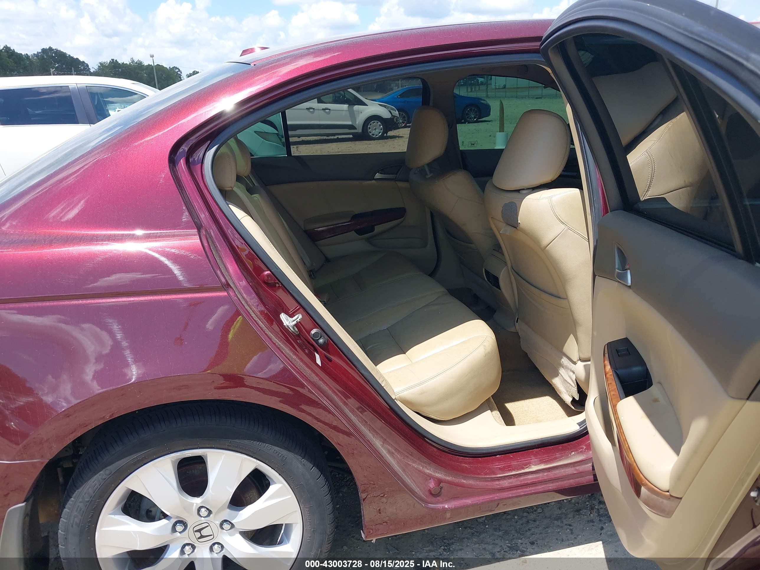 HONDA ACCORD image 8