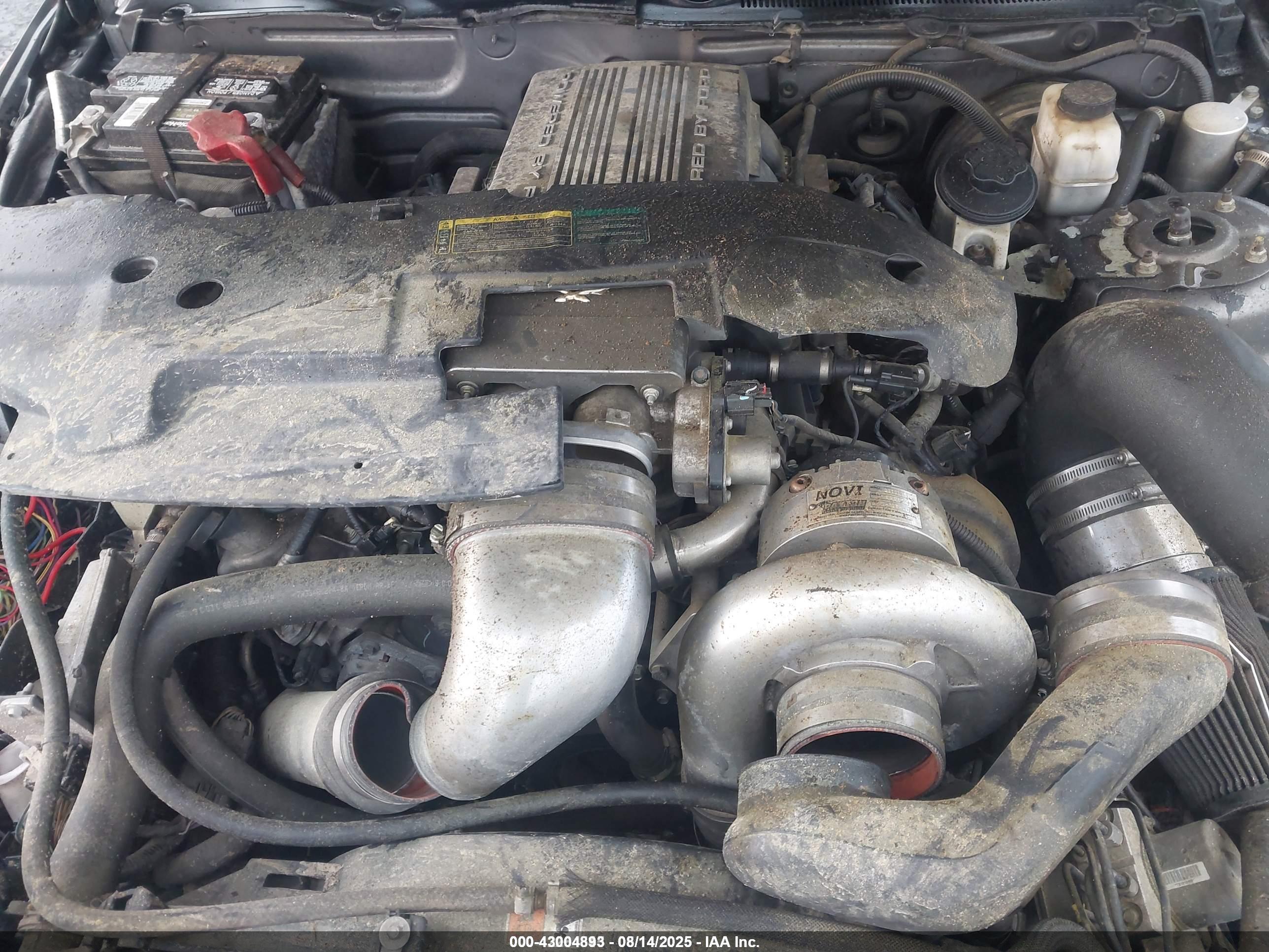 FORD MUSTANG image 10