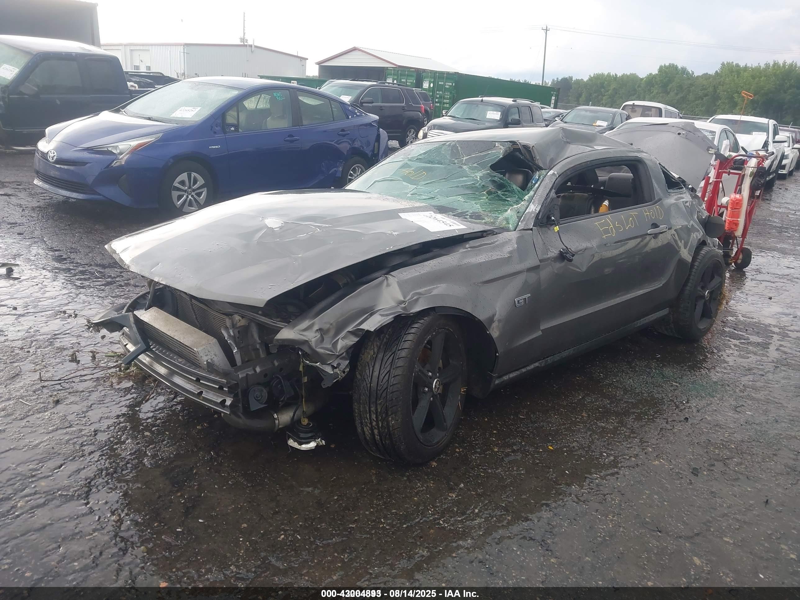 FORD MUSTANG image 2