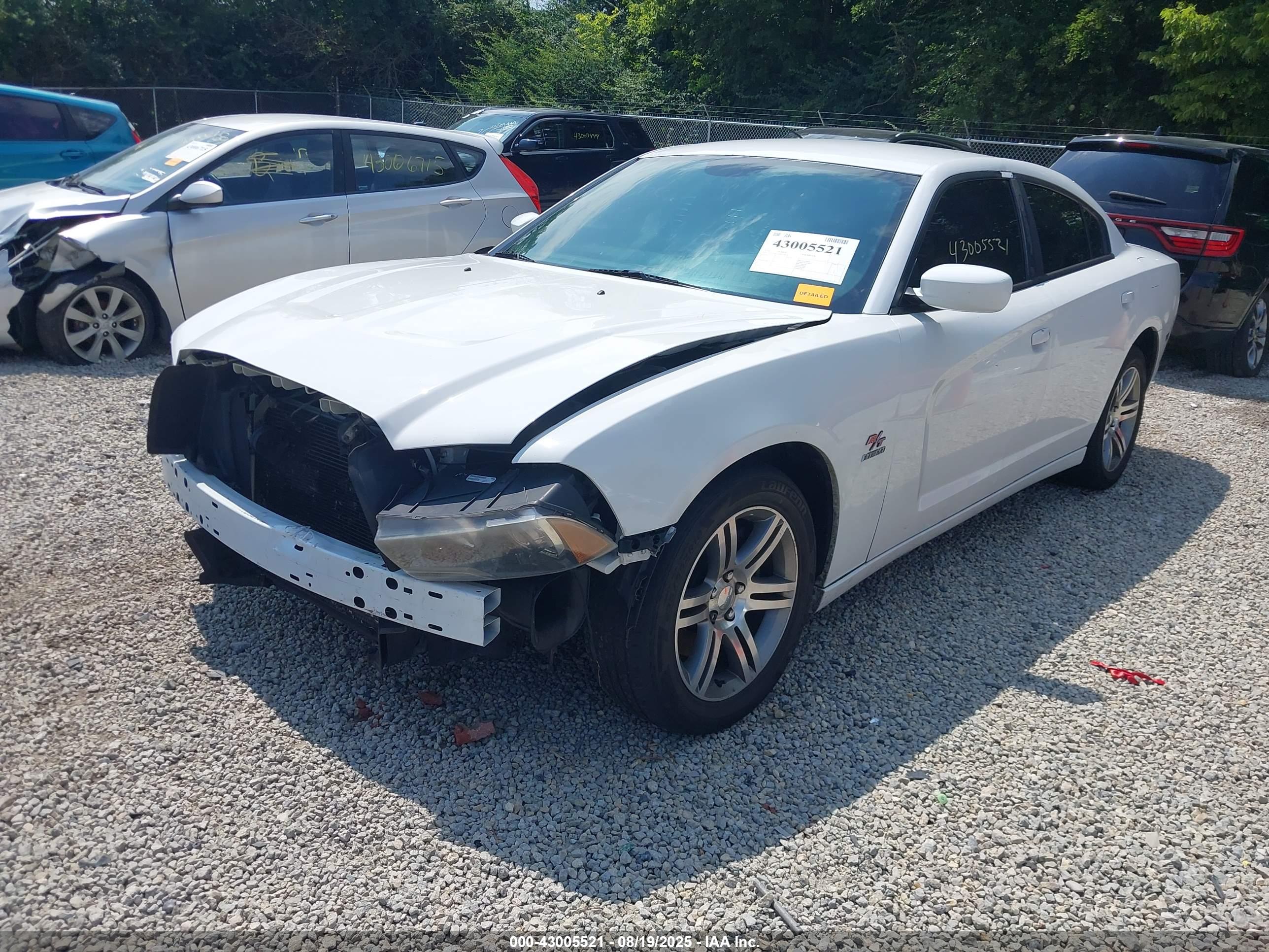 DODGE CHARGER image 2