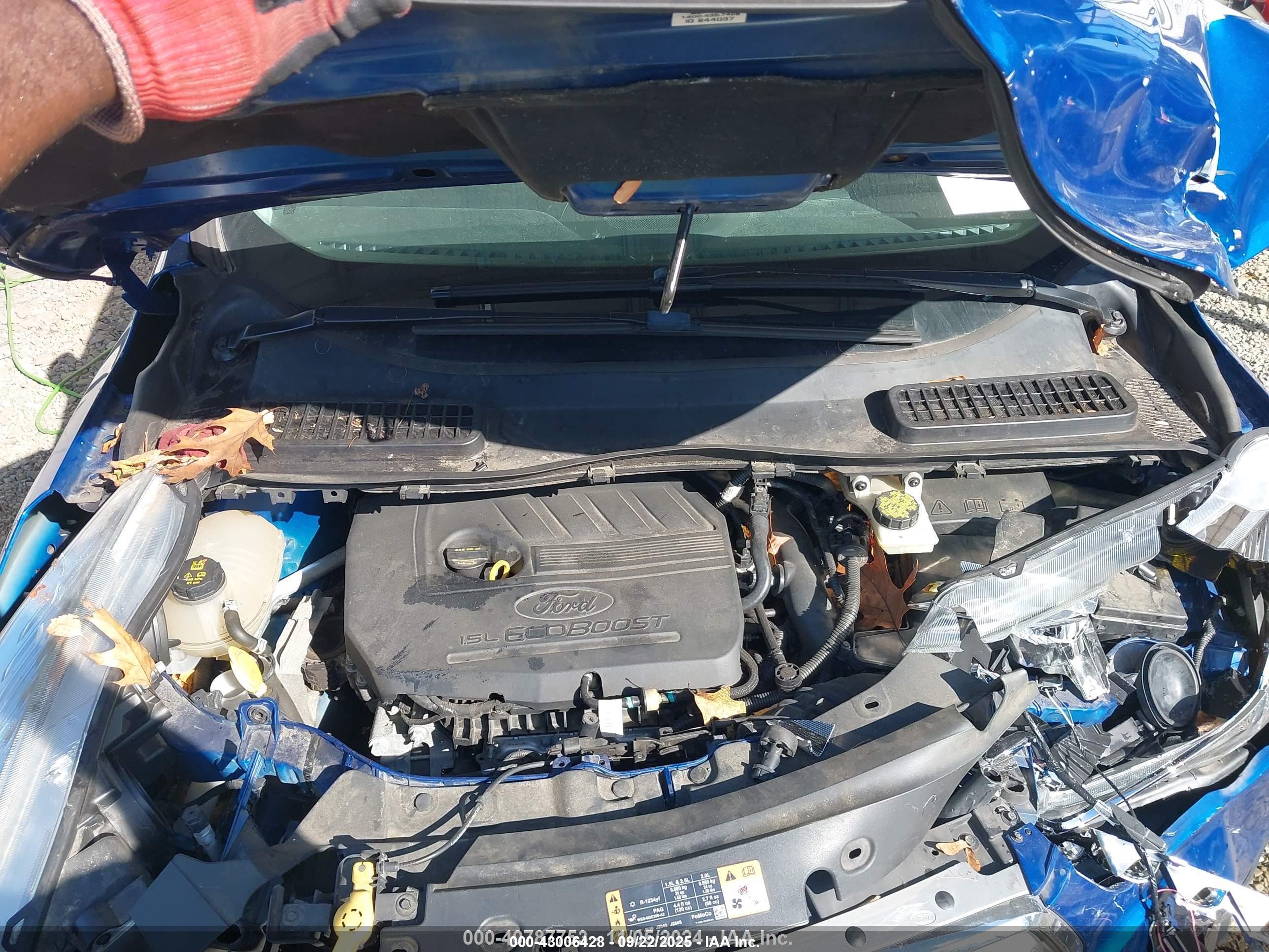 FORD ESCAPE image 10