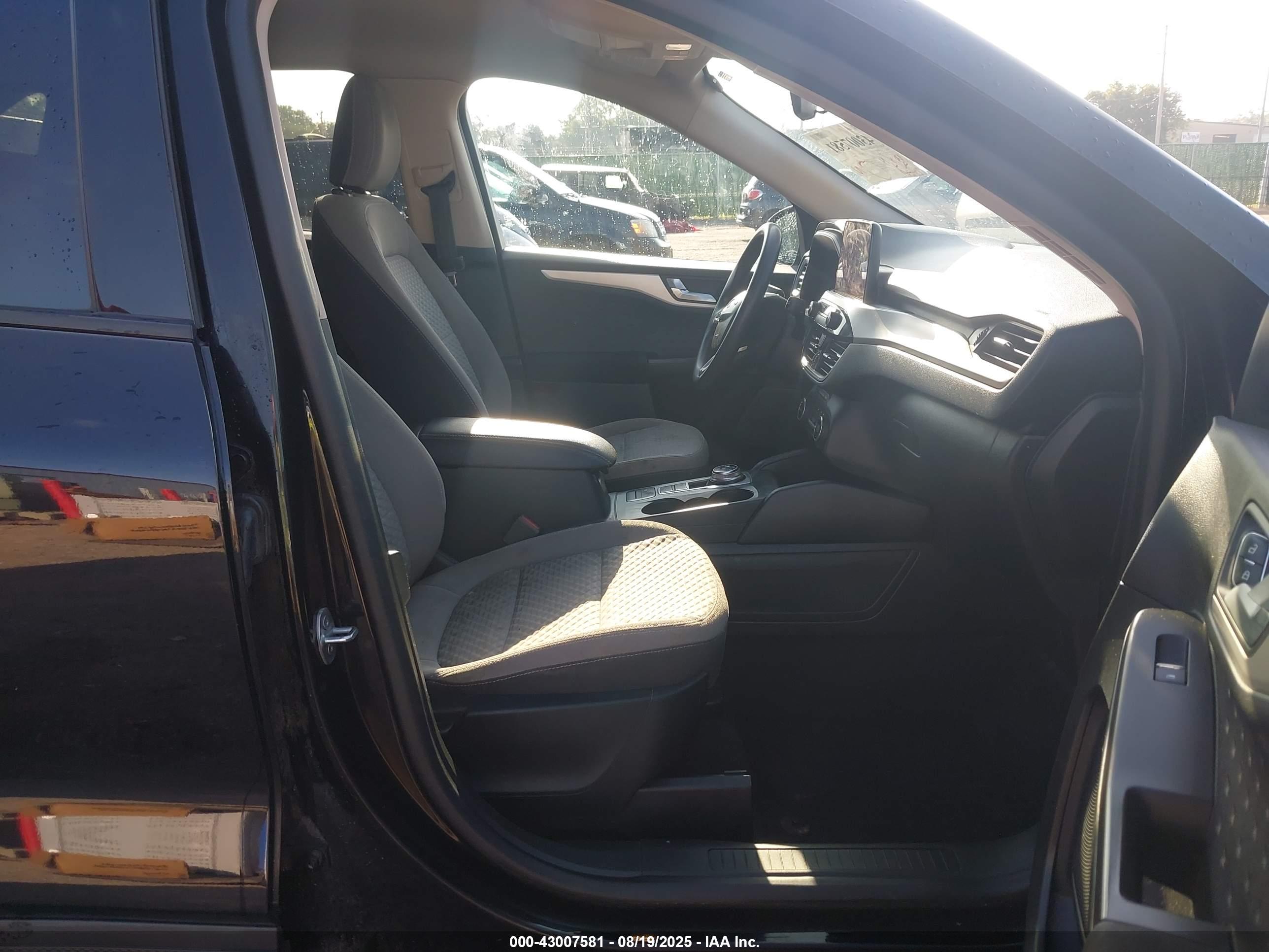 FORD ESCAPE image 5