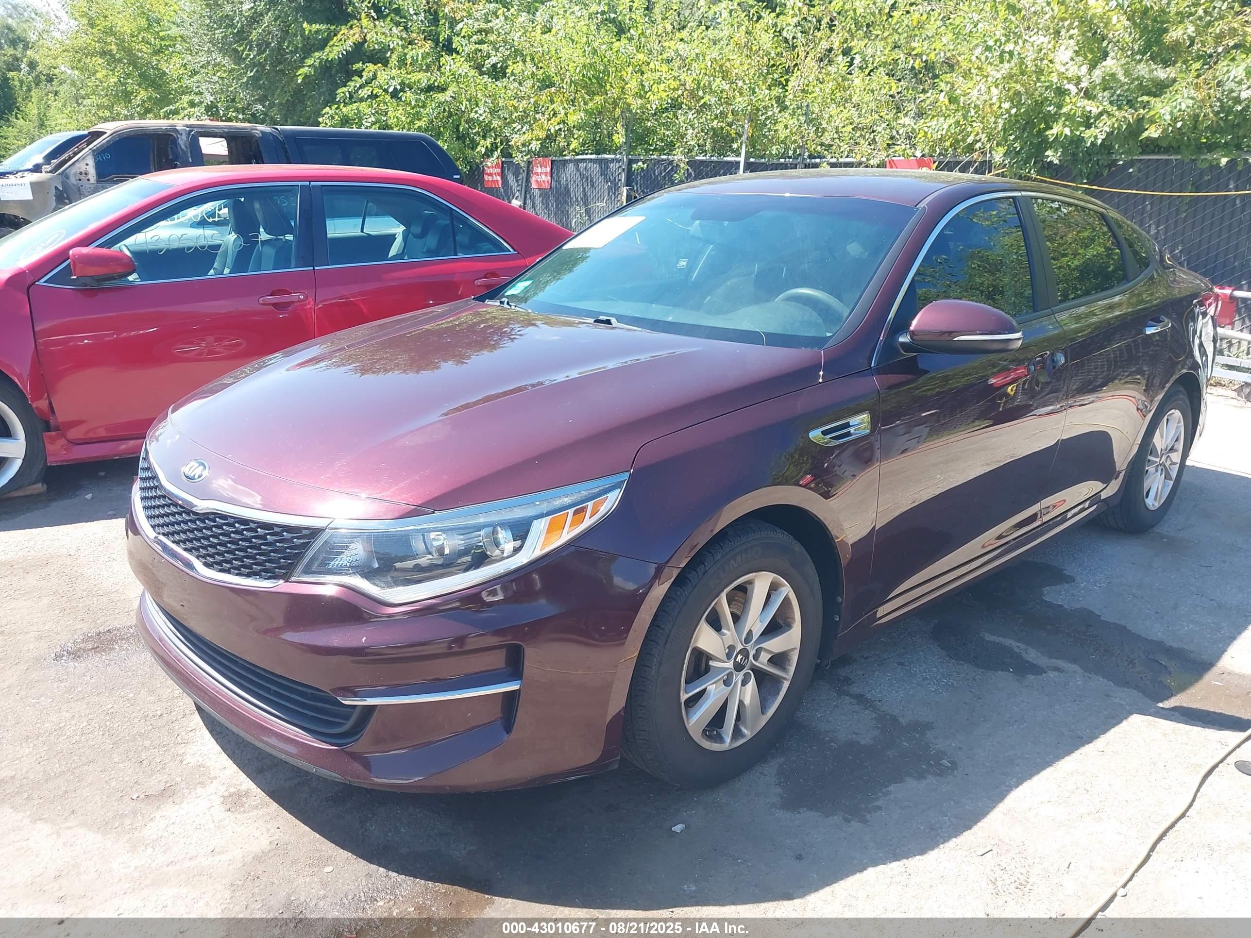 KIA OPTIMA image 2