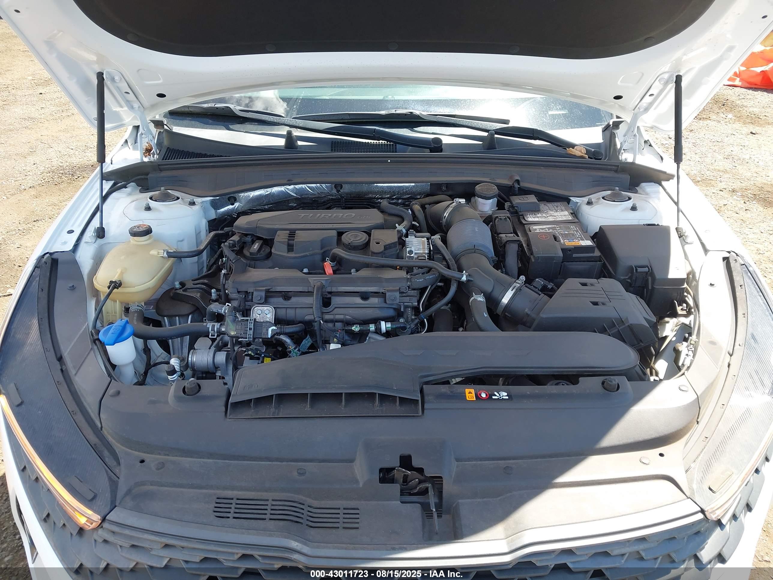 KIA K5 image 10