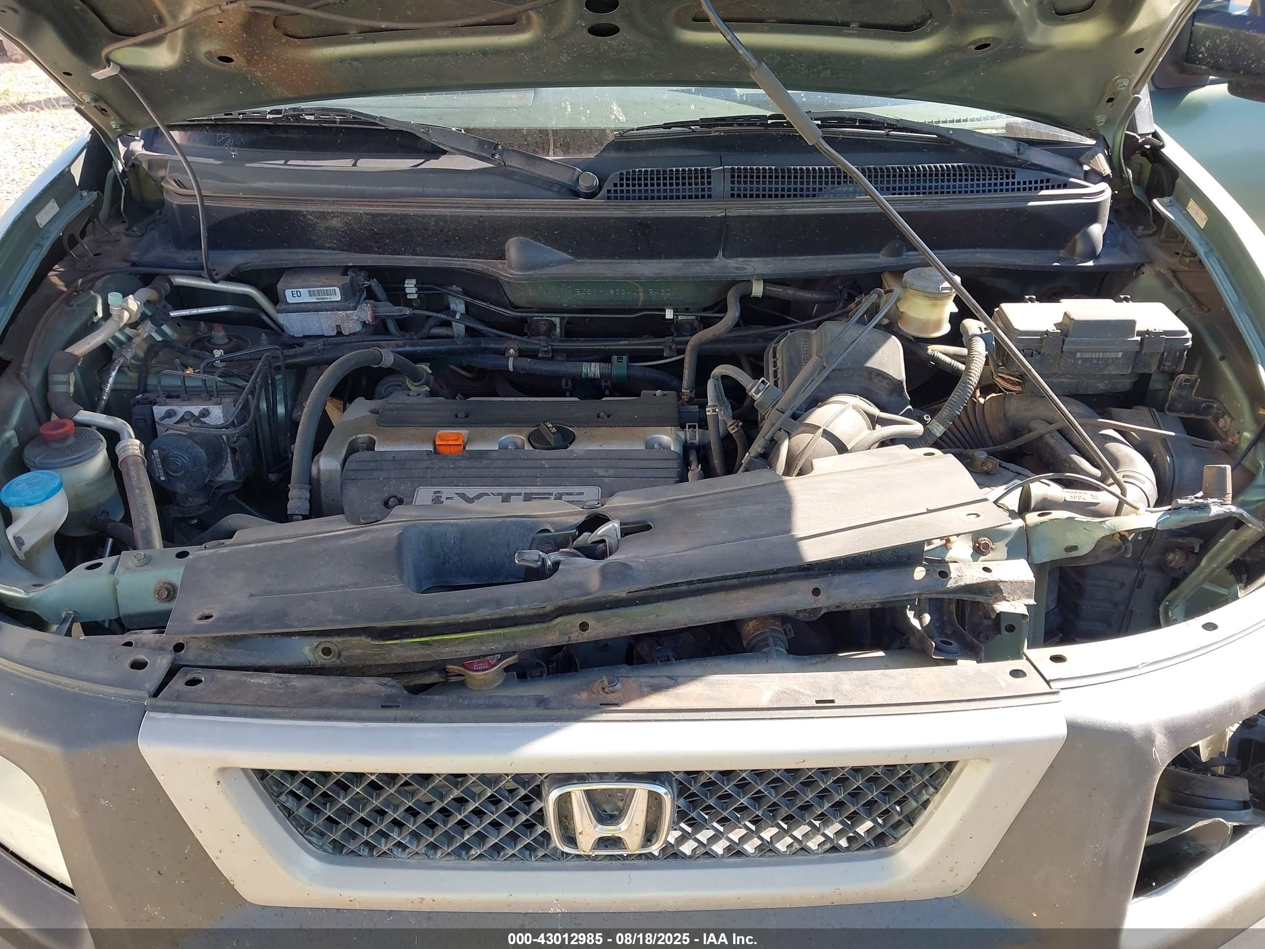 HONDA ELEMENT image 10