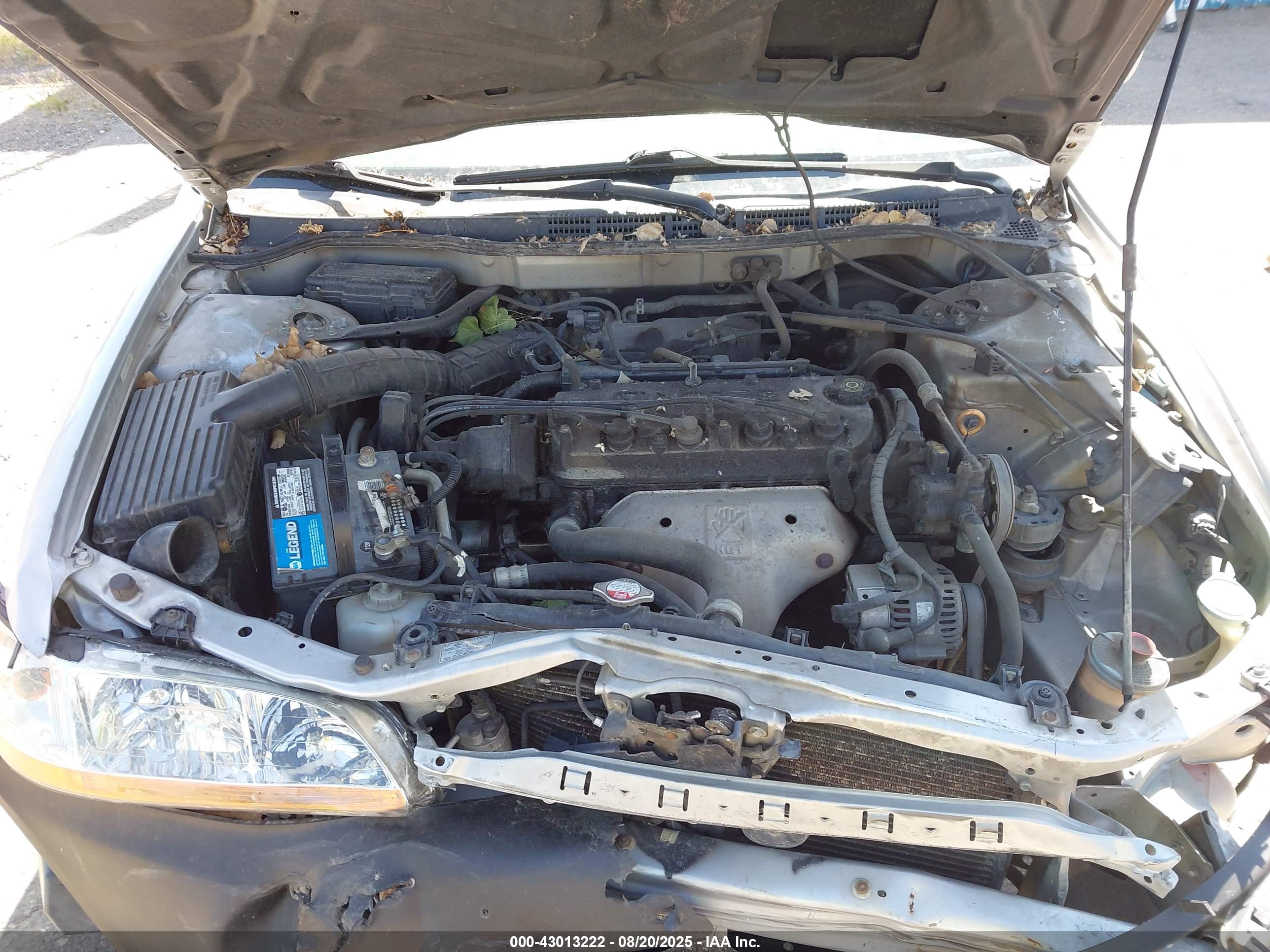 HONDA ACCORD image 10