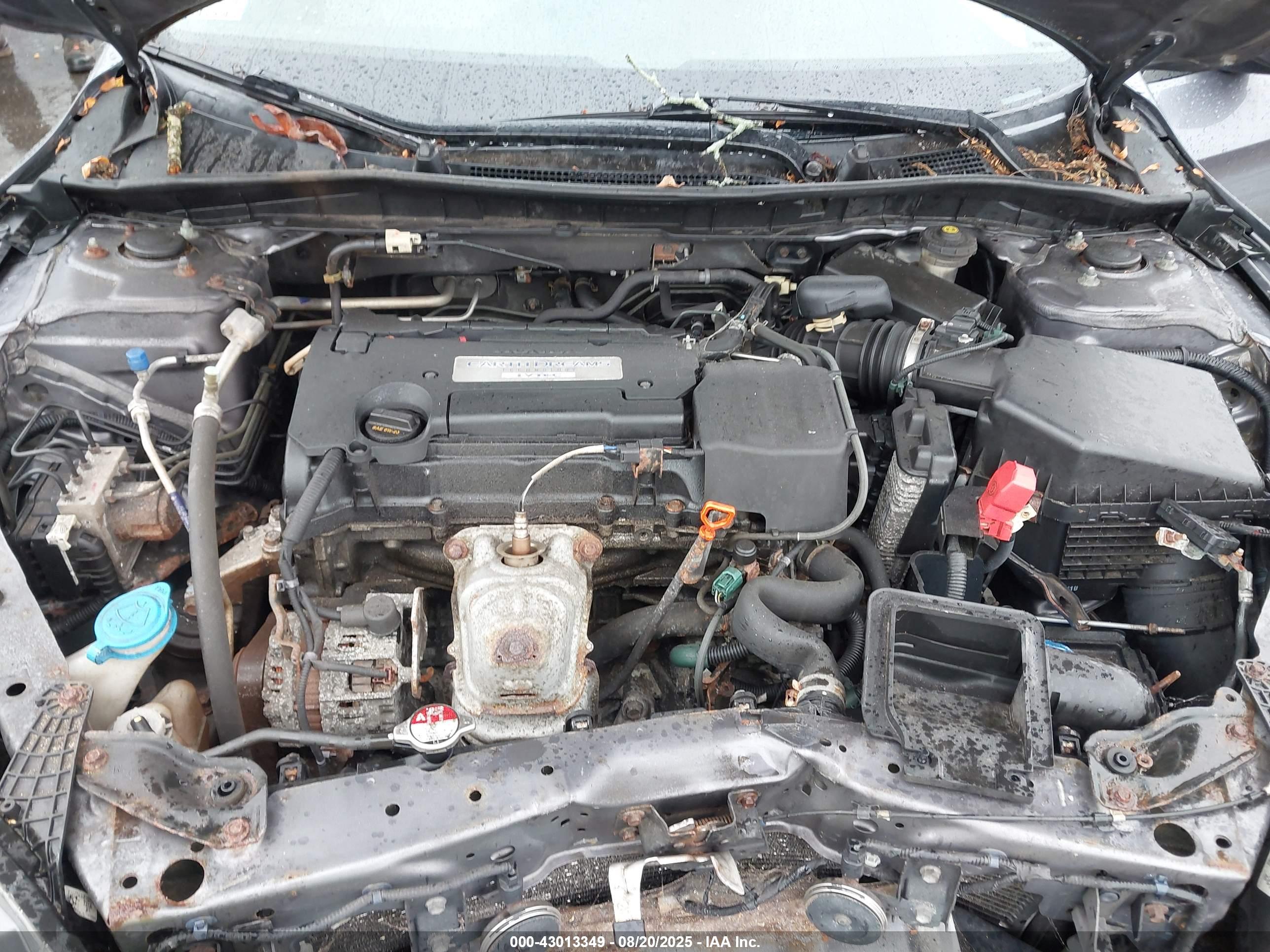 HONDA ACCORD image 10