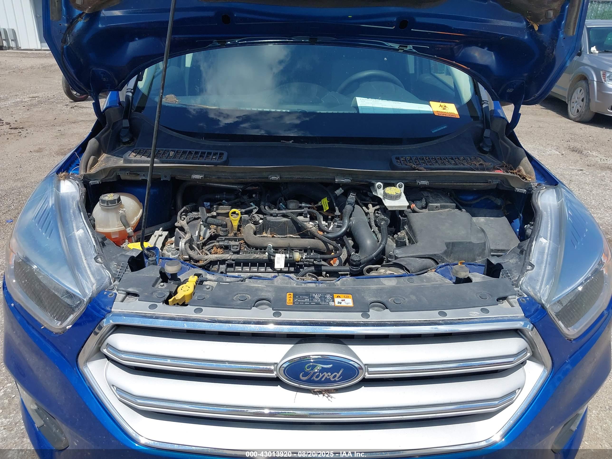 FORD ESCAPE image 10