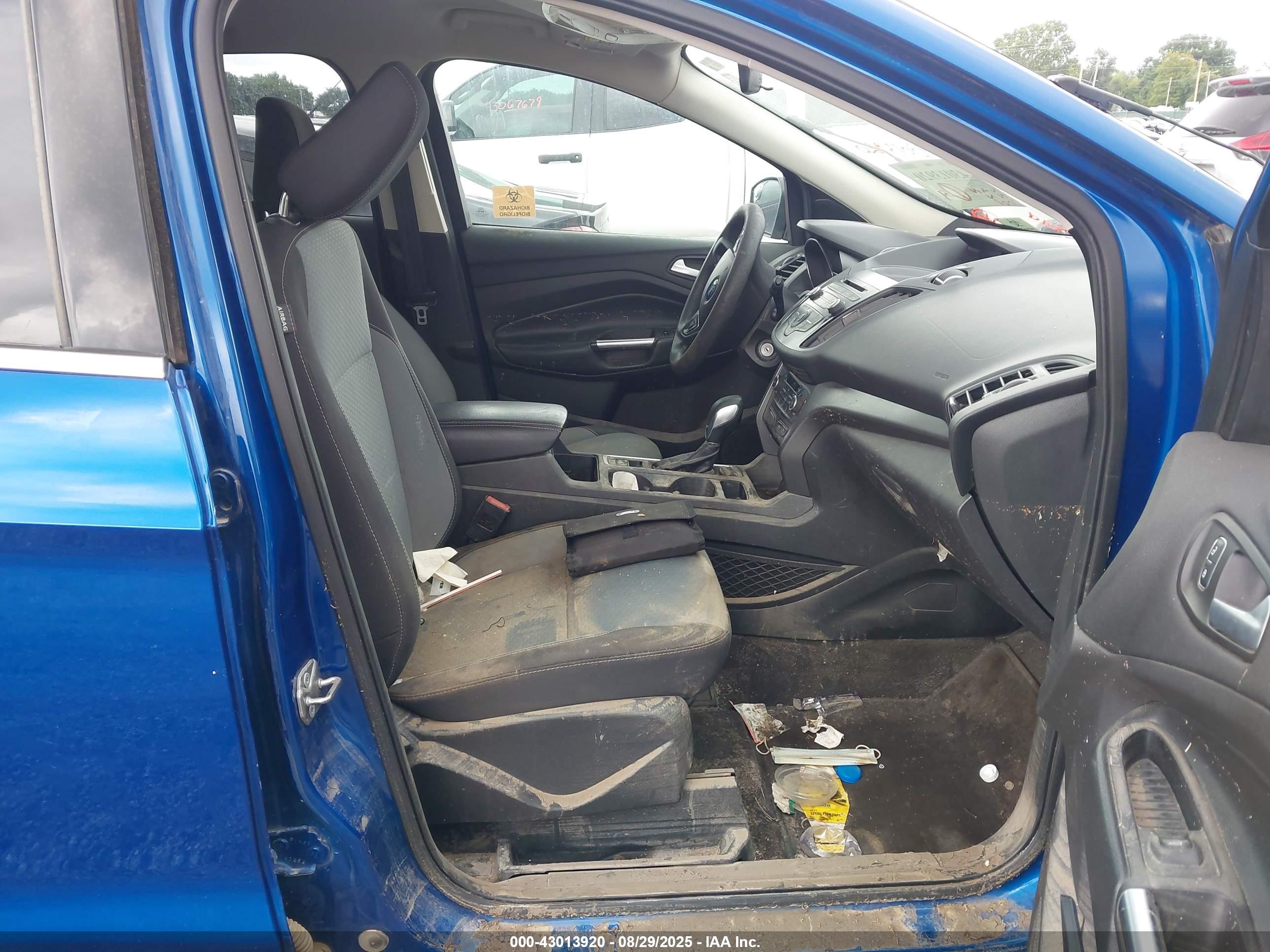 FORD ESCAPE image 5