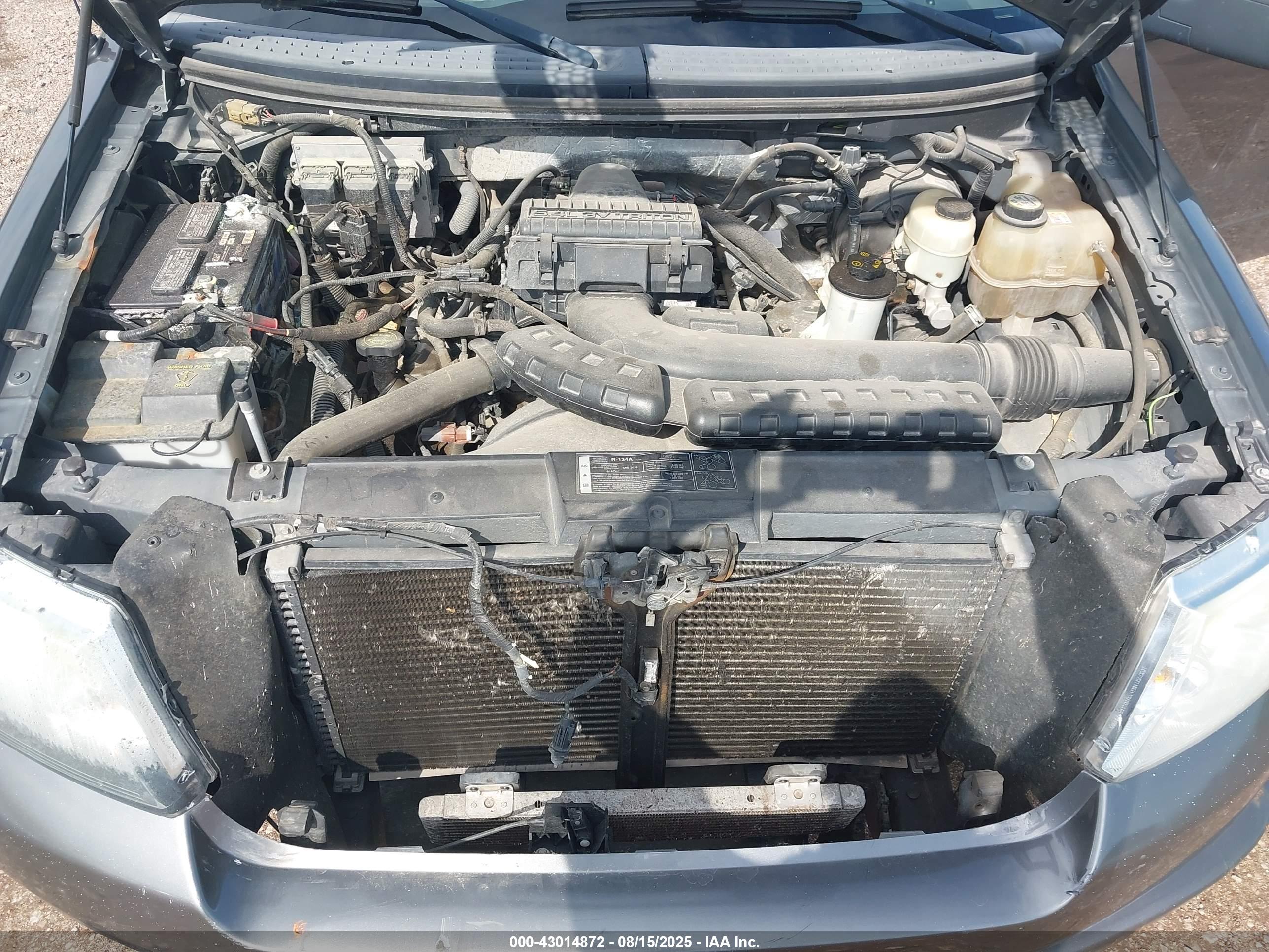 FORD F-150 image 10