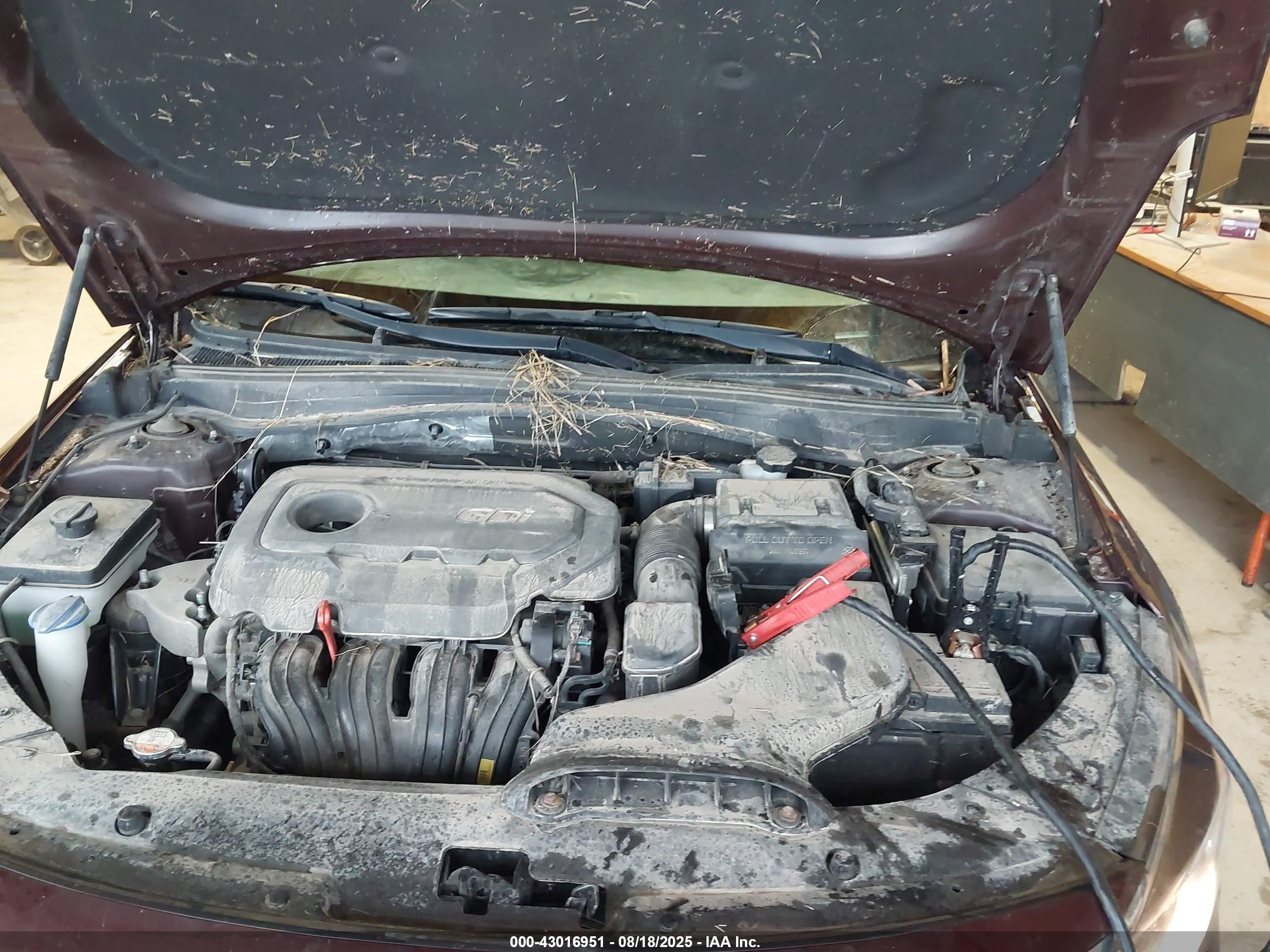 KIA OPTIMA image 10