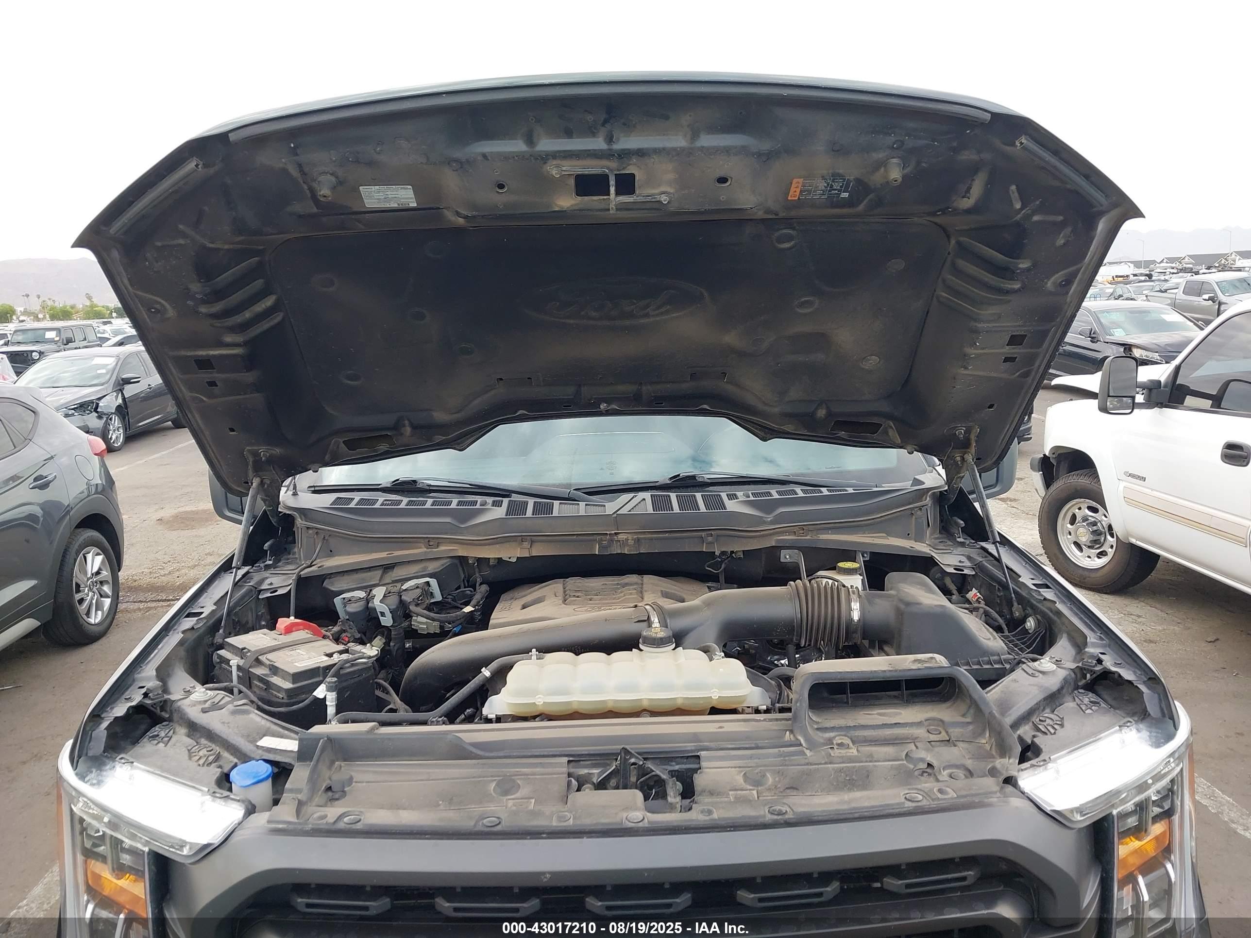 FORD F-150 image 10