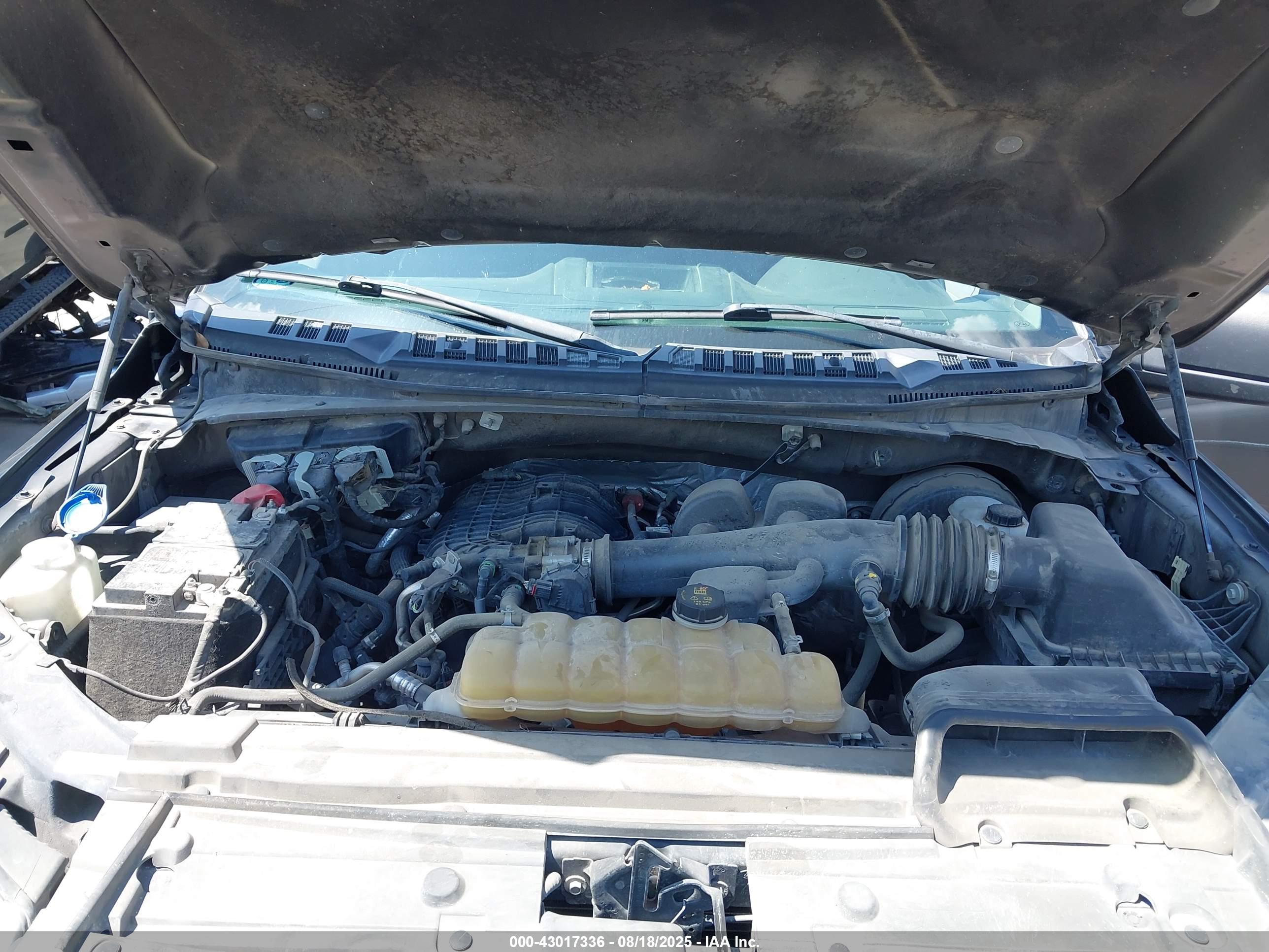 FORD F-150 image 10