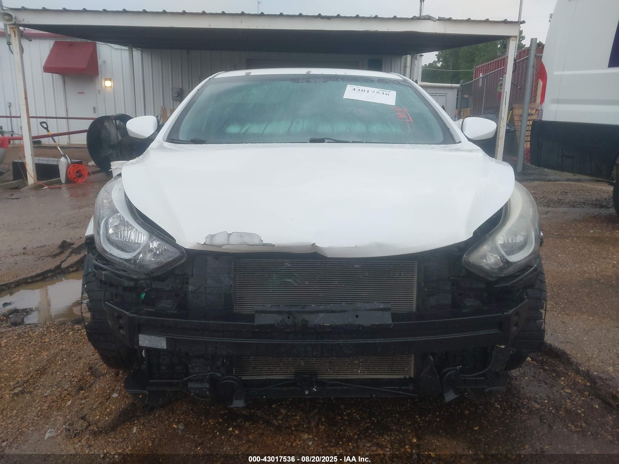 HYUNDAI ELANTRA image 6