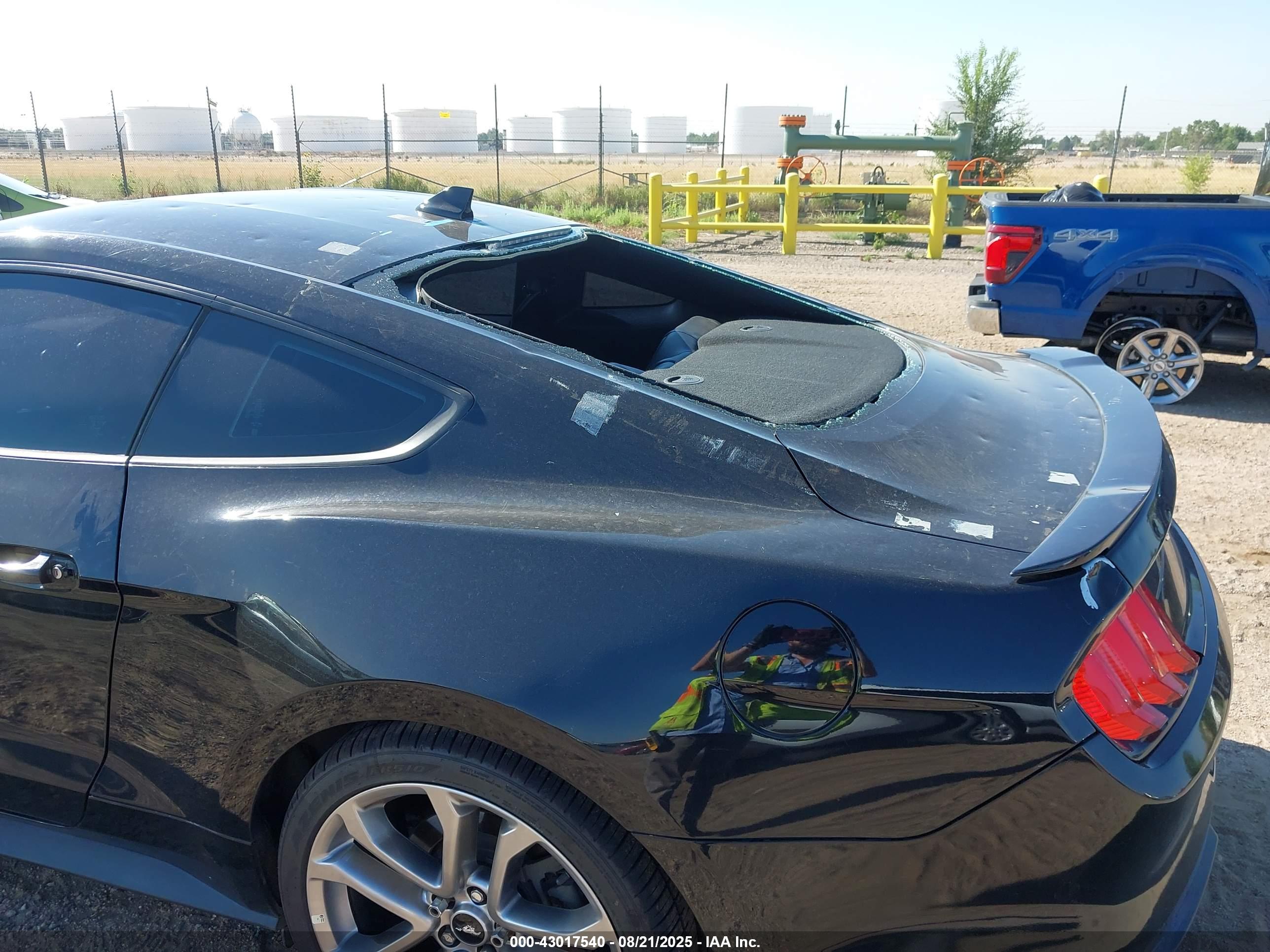FORD MUSTANG image 6