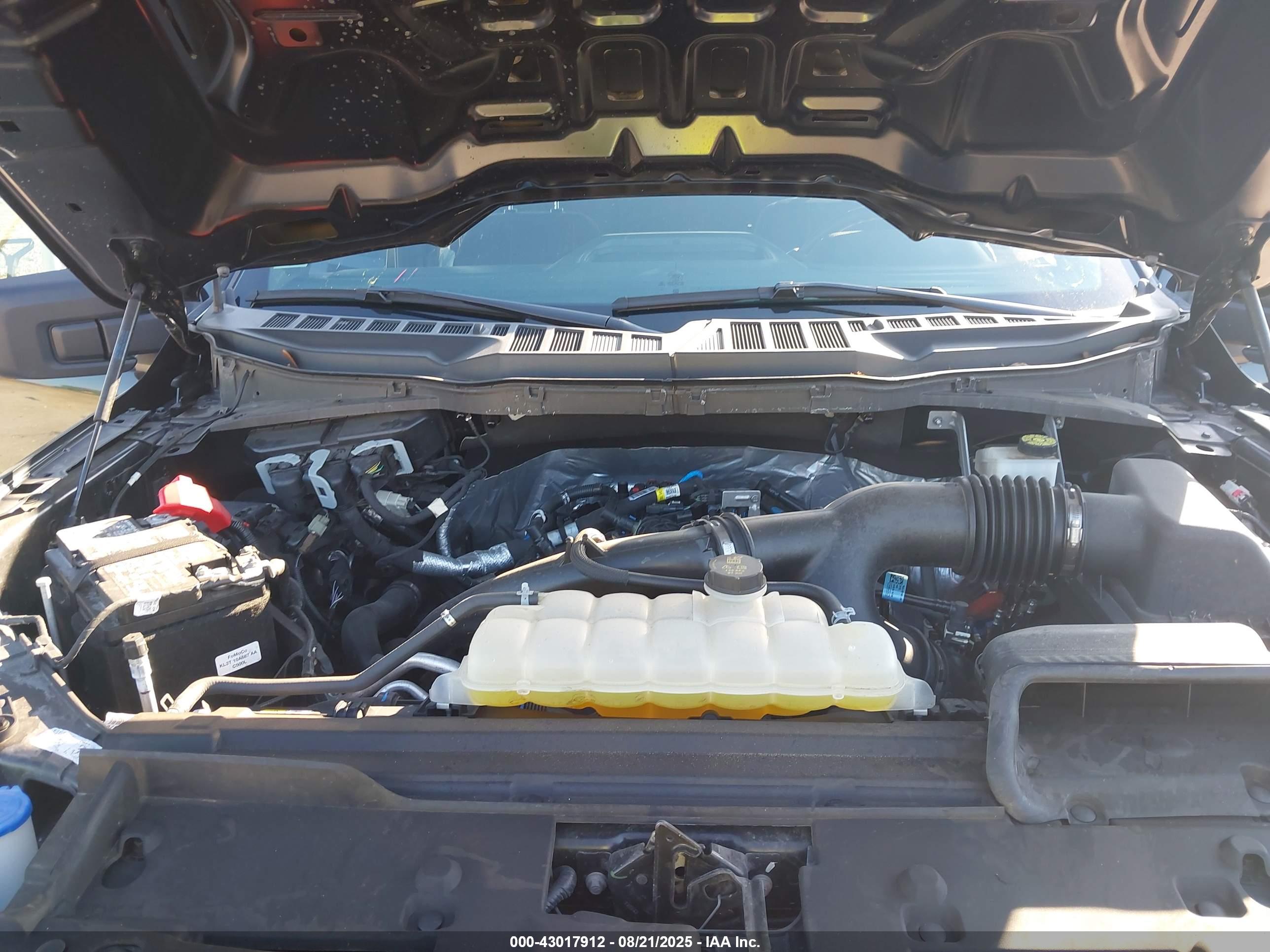 FORD F-150 image 10