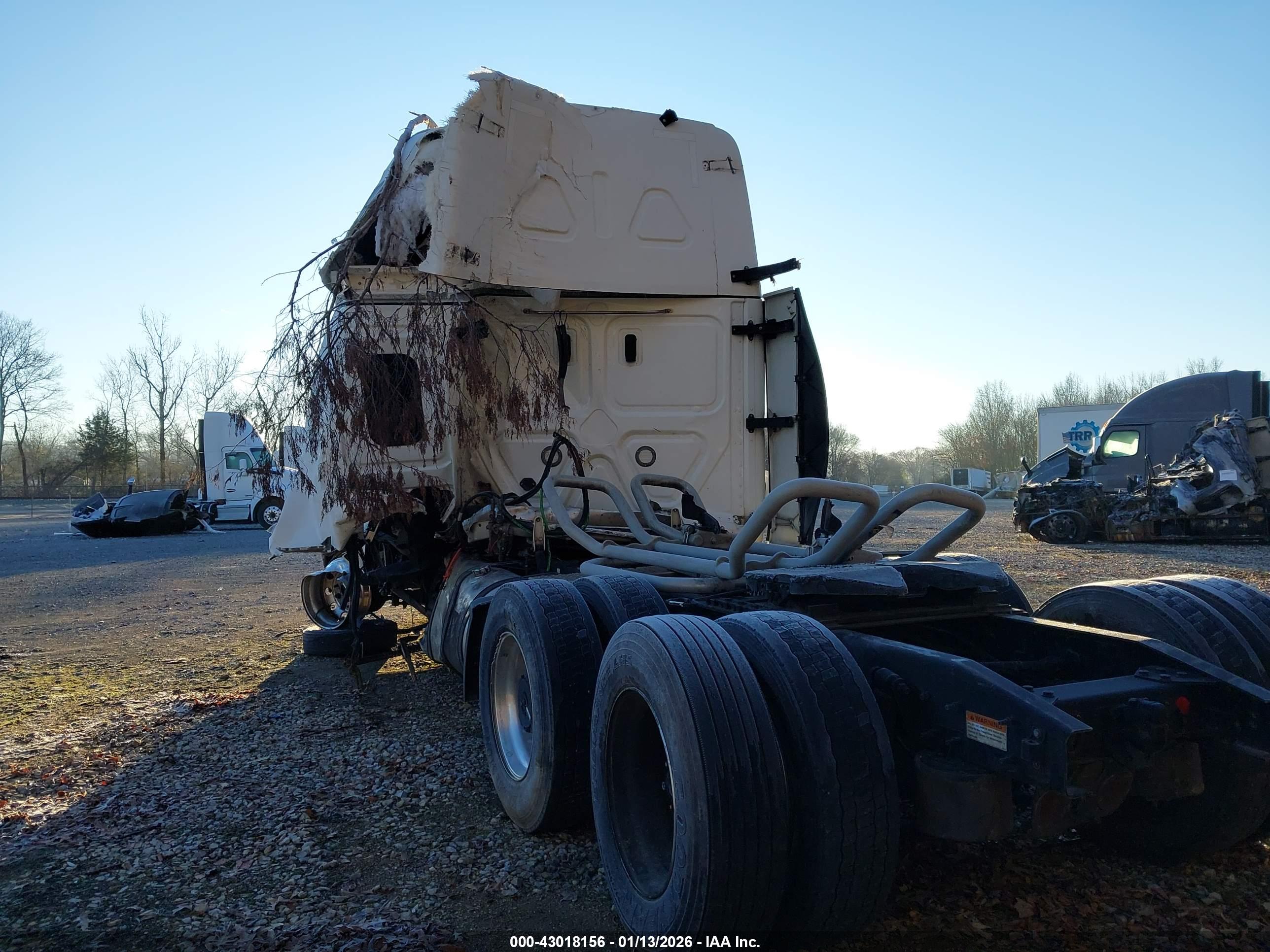 FREIGHTLINER NEW image 4