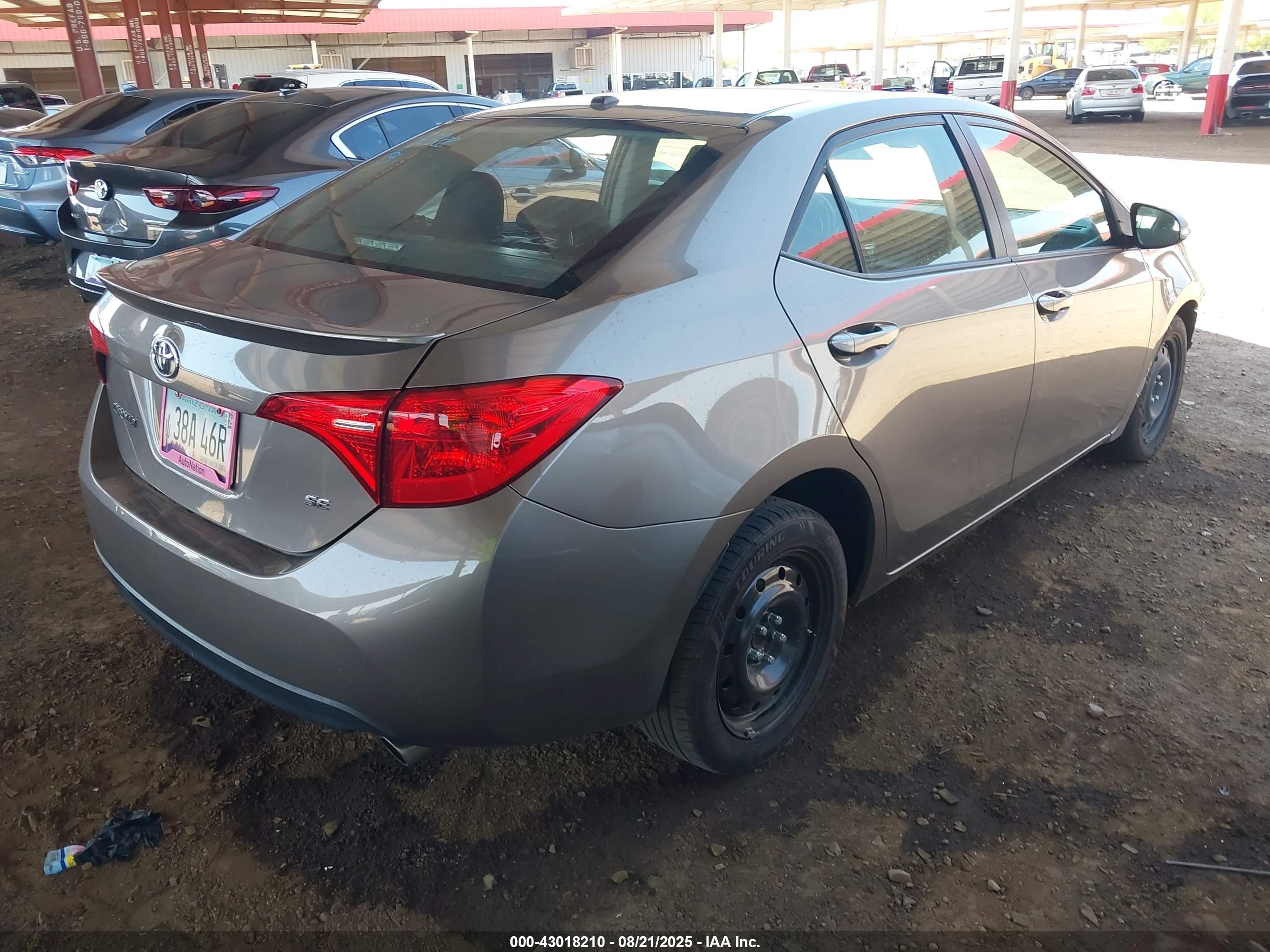 TOYOTA COROLLA image 4
