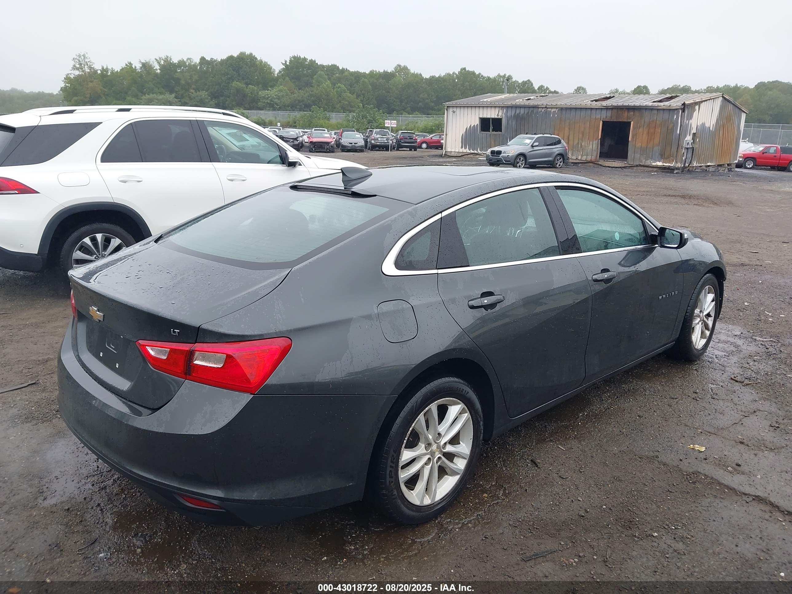 CHEVROLET MALIBU image 4