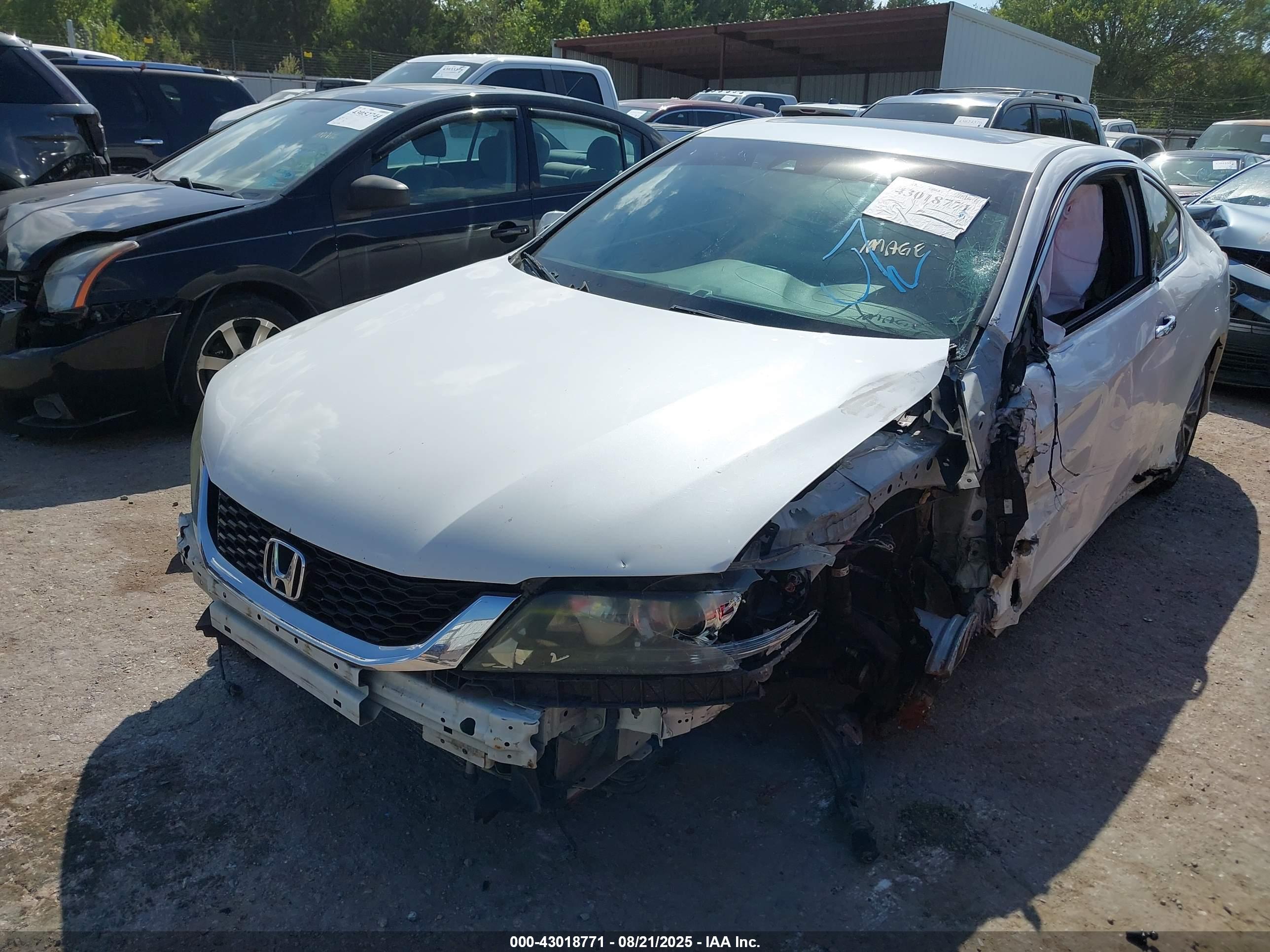 HONDA ACCORD image 2