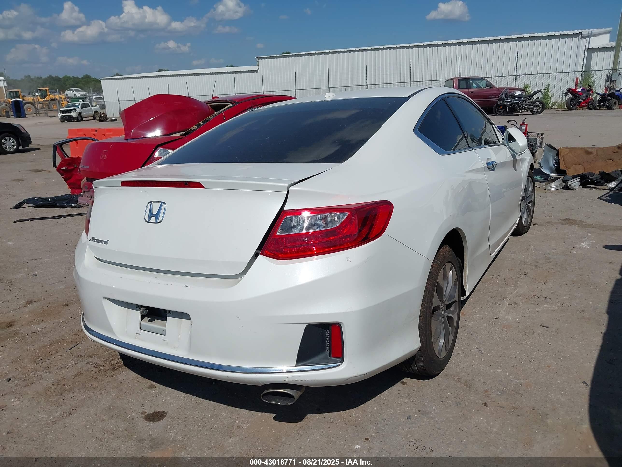 HONDA ACCORD image 4