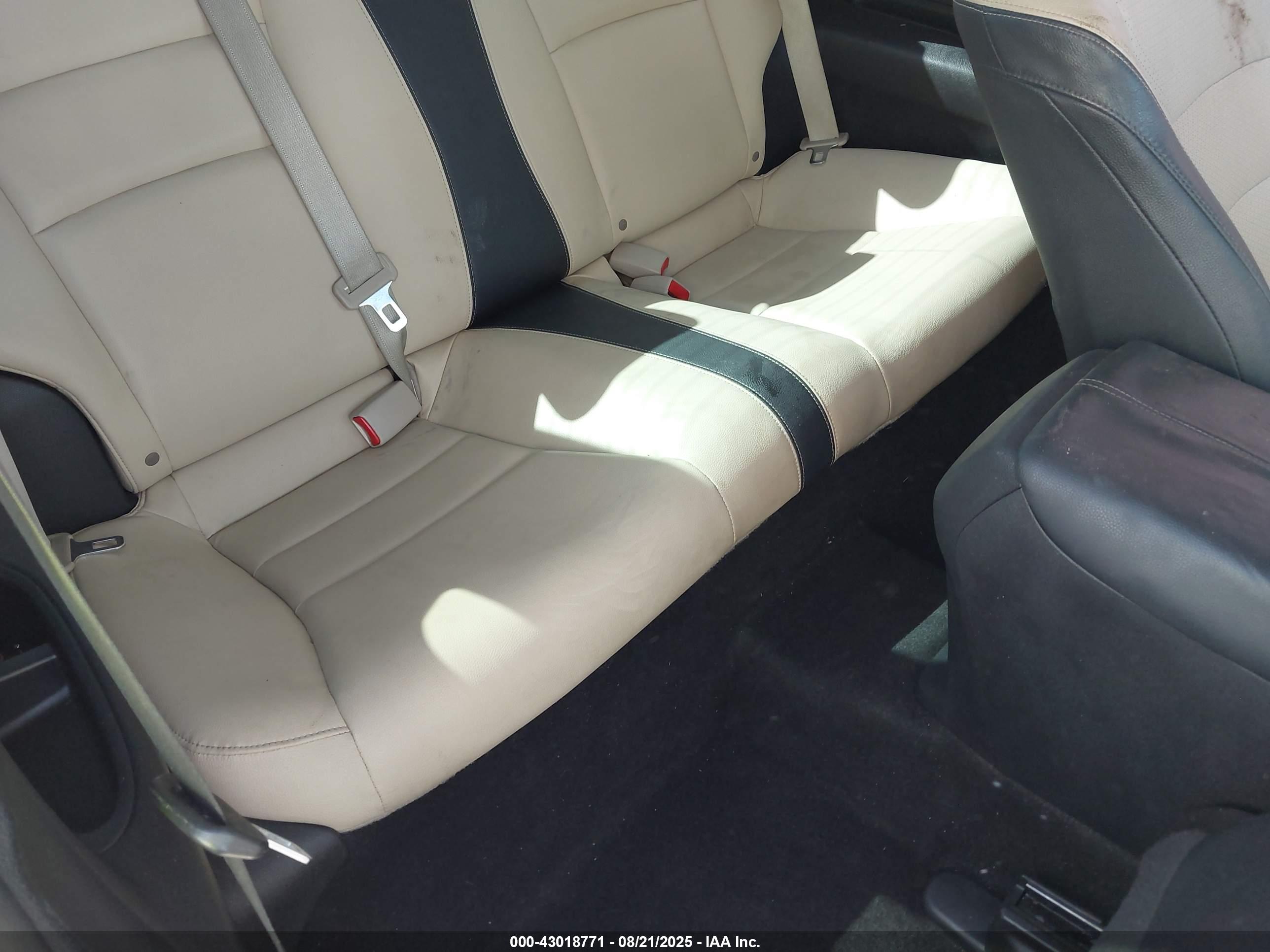 HONDA ACCORD image 8
