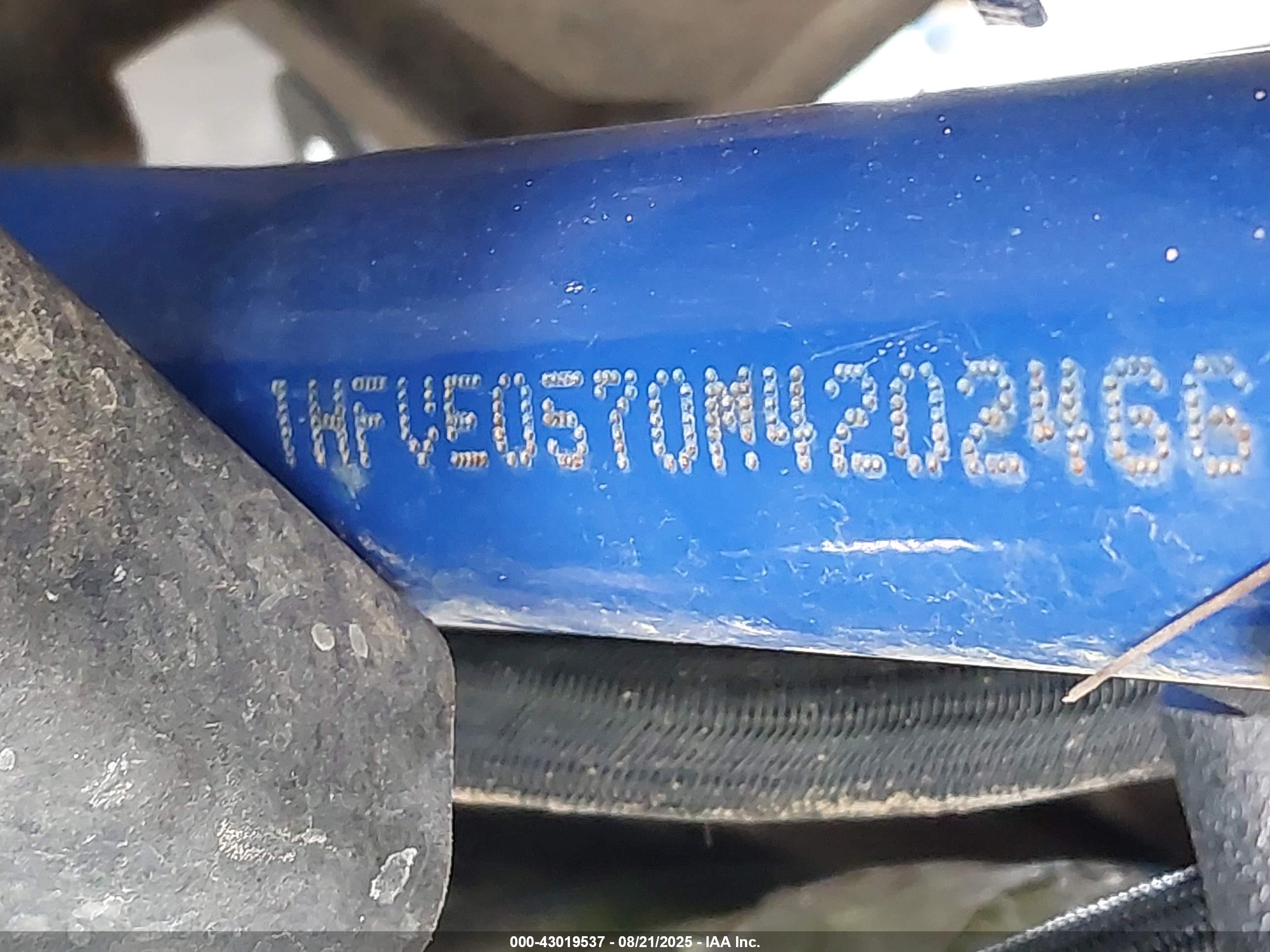 HONDA SXS1000 image 10
