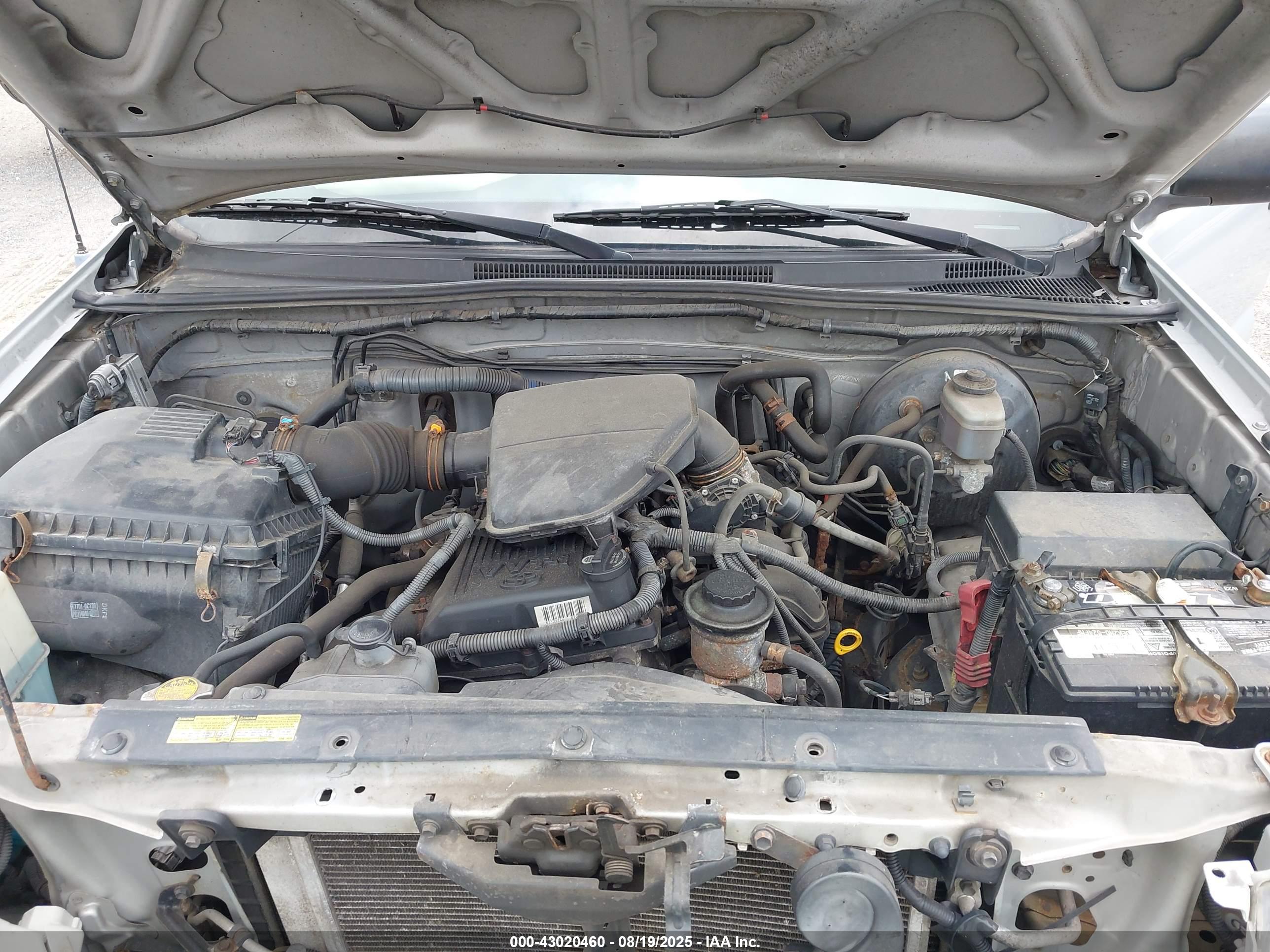 TOYOTA TACOMA image 10
