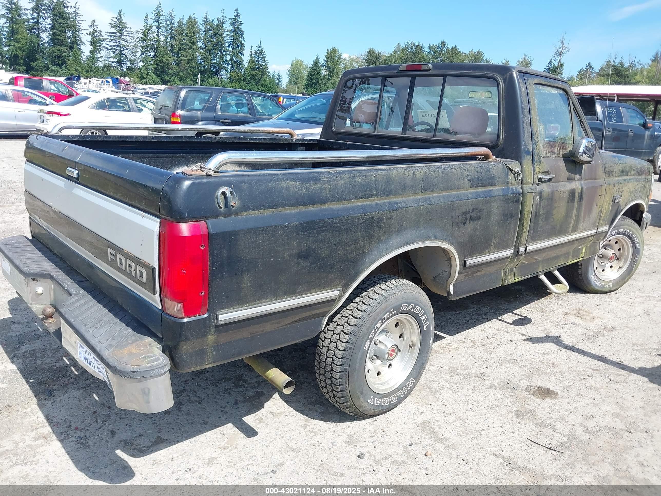 FORD F150 image 4