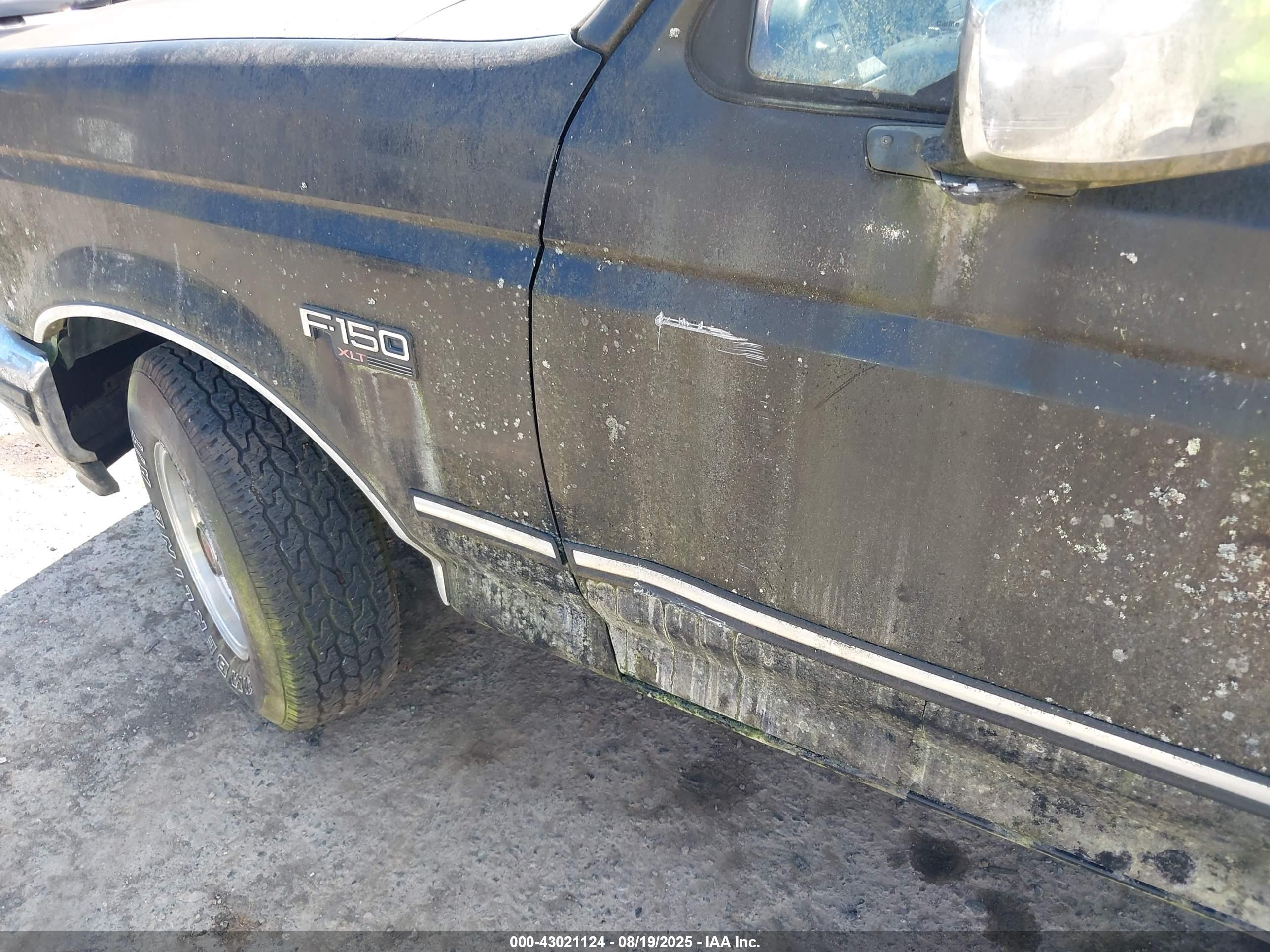 FORD F150 image 6