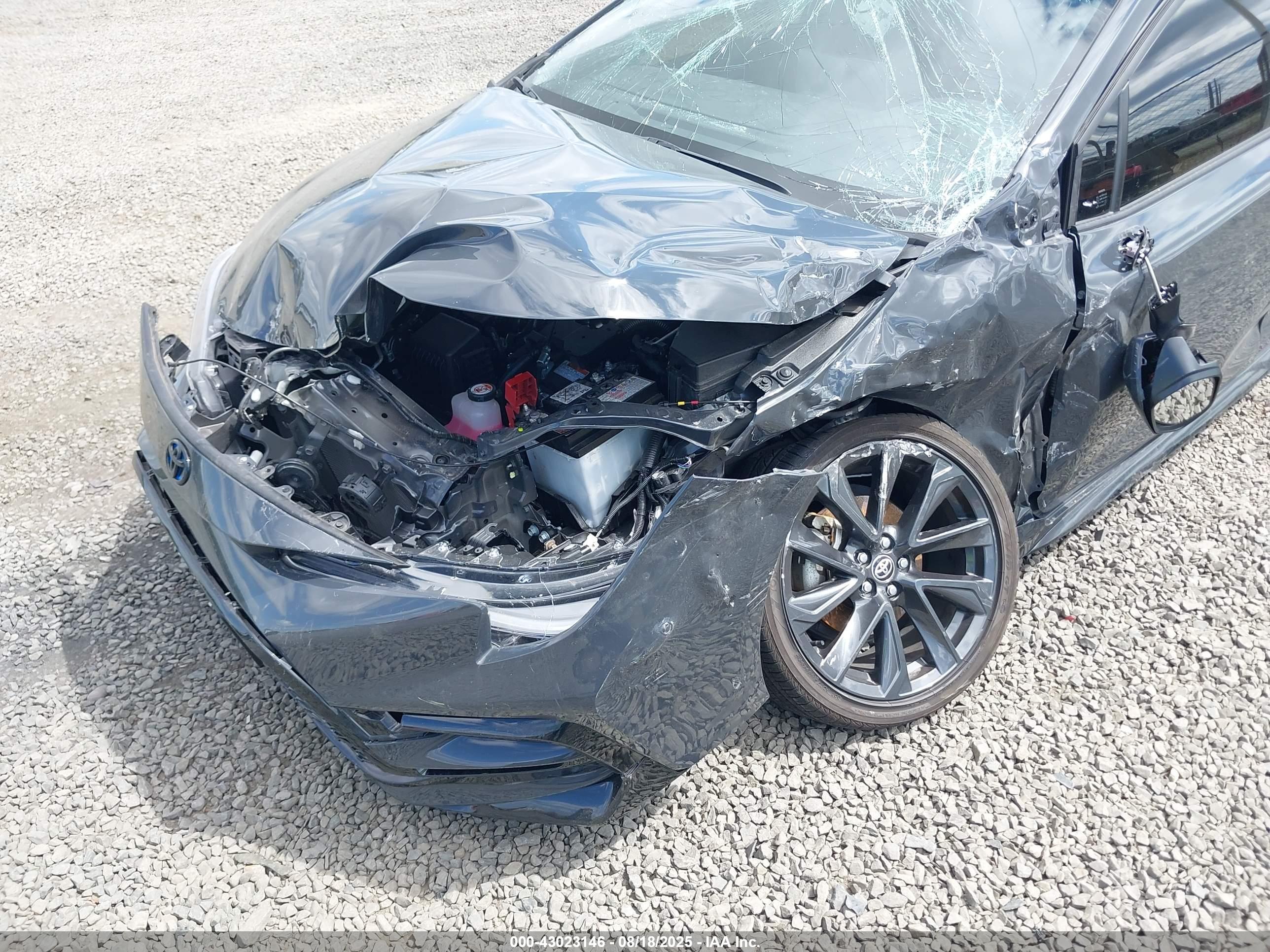 TOYOTA COROLLA image 6