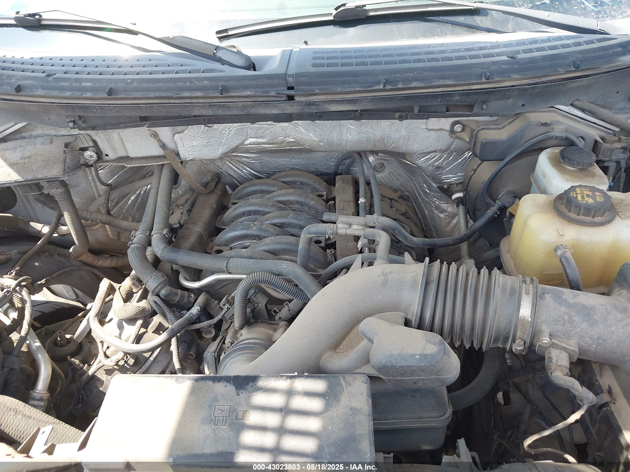 FORD F-150 image 10