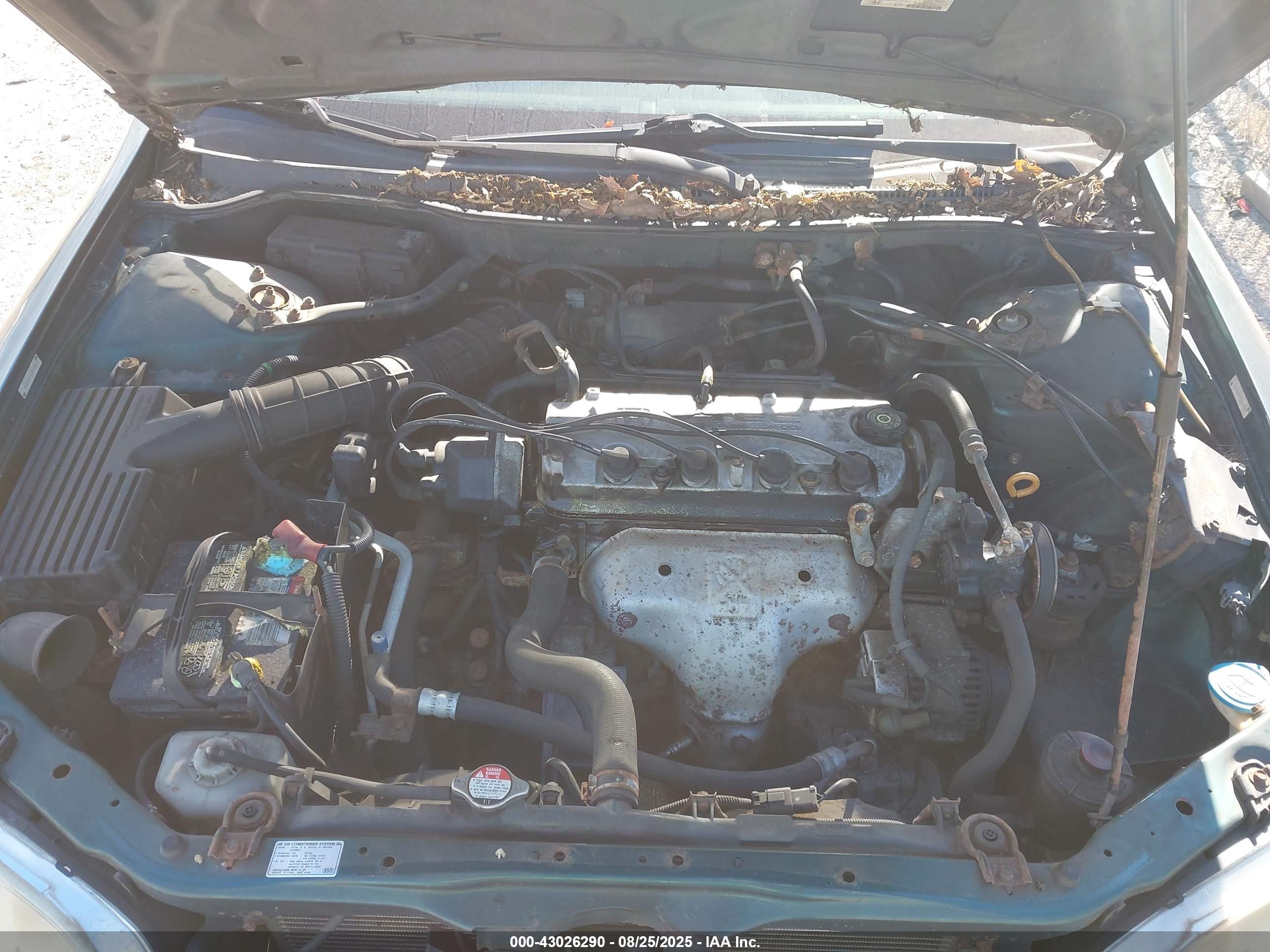 HONDA ACCORD image 10