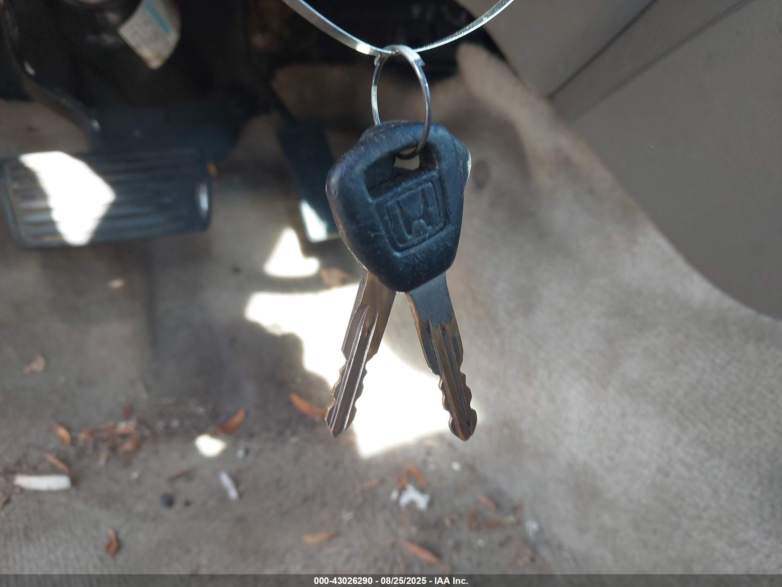HONDA ACCORD image 11
