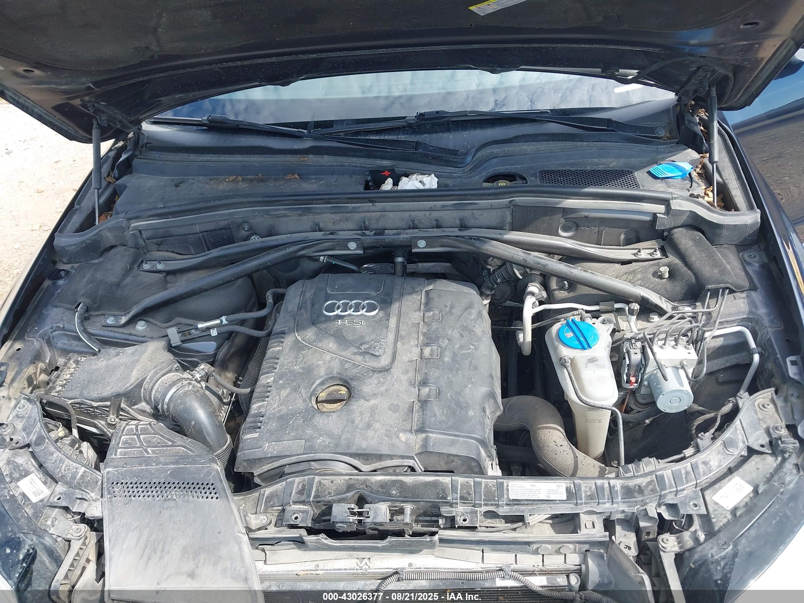 AUDI Q5 image 10